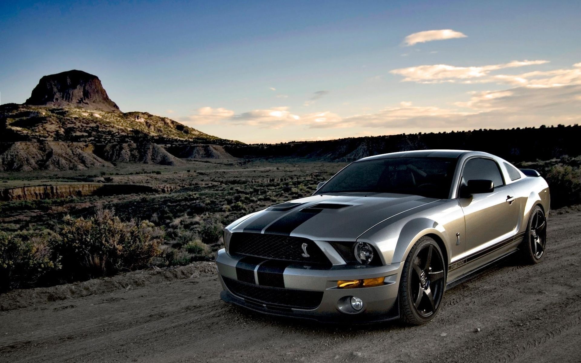 Free download Ford mustang wallpaper HD [1920x1200] for your Desktop, Mobile & Tablet. Explore Ford Mustang Wallpaper. Mustang Desktop Wallpaper, Ford Mustang Cobra Wallpaper, Shelby Mustang Wallpaper for Computer