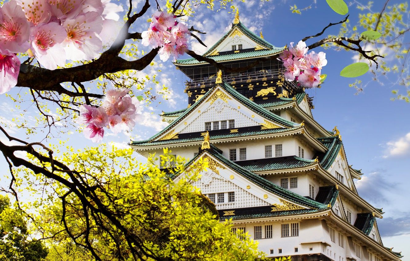 Wallpaper castle, Japan, Sakura, flowering, Japanese, castle, japanese image for desktop, section город