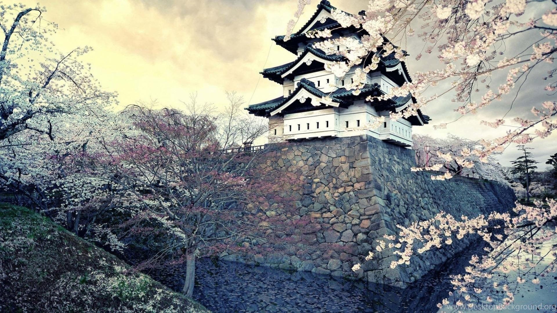 Ancient Japanese Castle In Spring Wallpaper Desktop Background