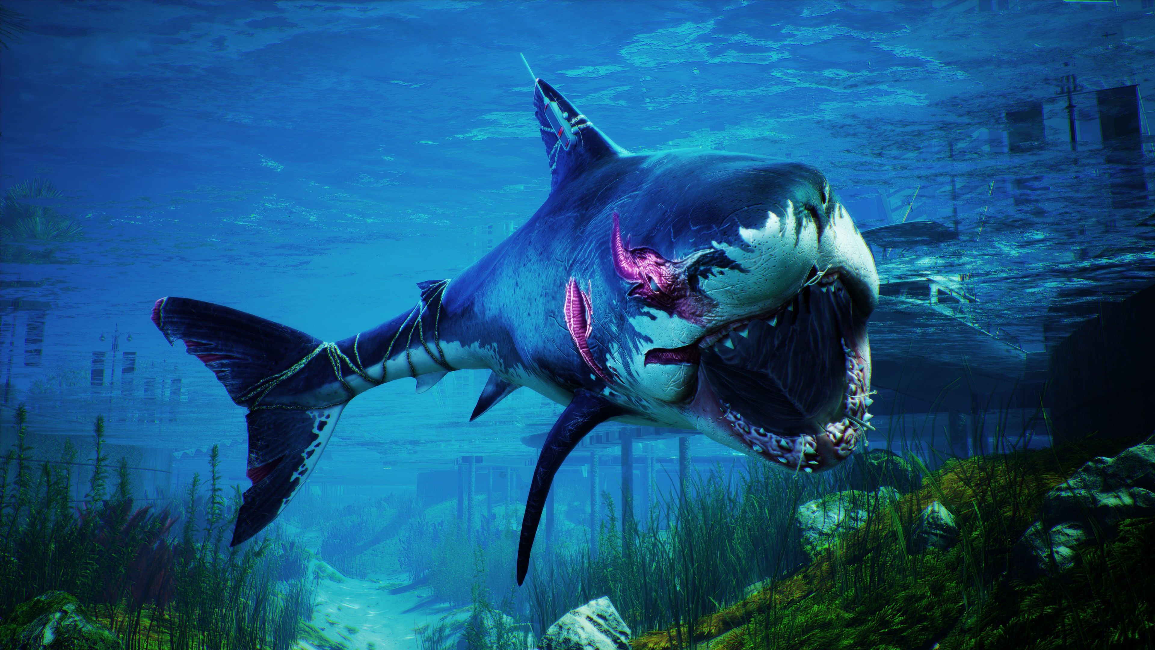 Maneater Blue White Shark 4K Wallpaper