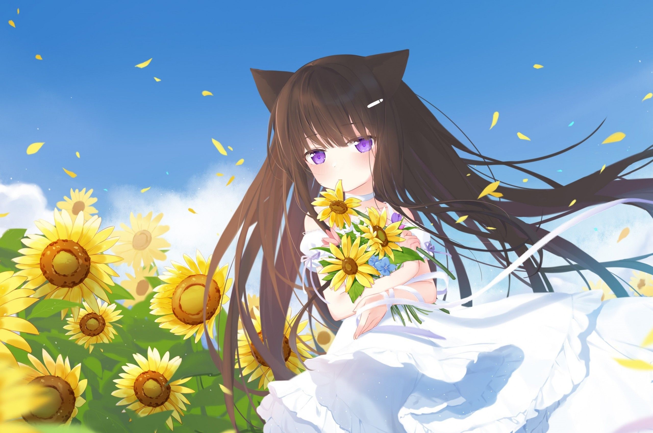 Download 2560x1700 Cute Anime Girl, Summer Dress, Loli, Sunflowers, Animal Ears, Purple Eyes Wallpaper for Chromebook Pixel