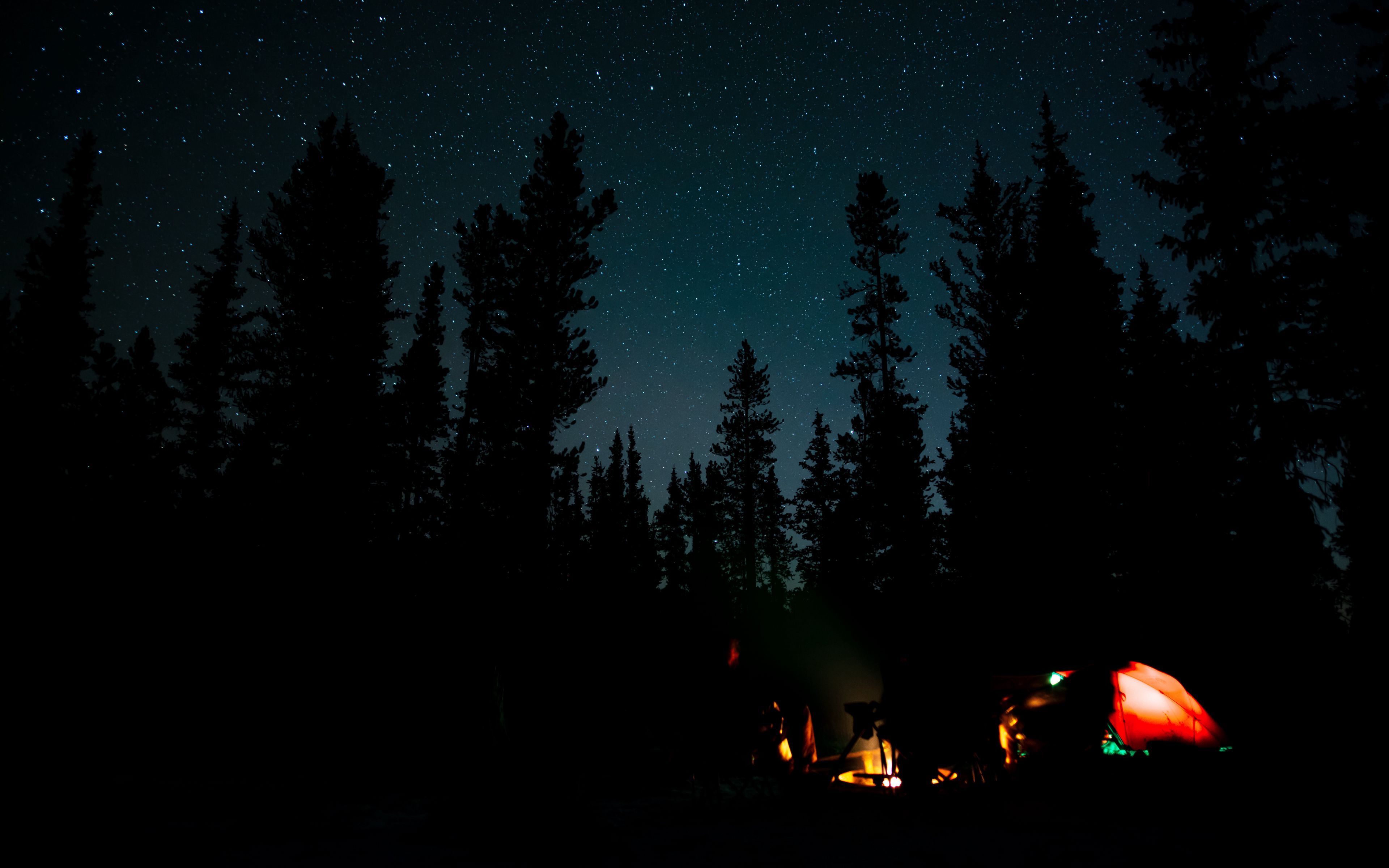 Download wallpaper 3840x2400 night, campfire, camping, forest 4k ultra HD 16:10 HD background