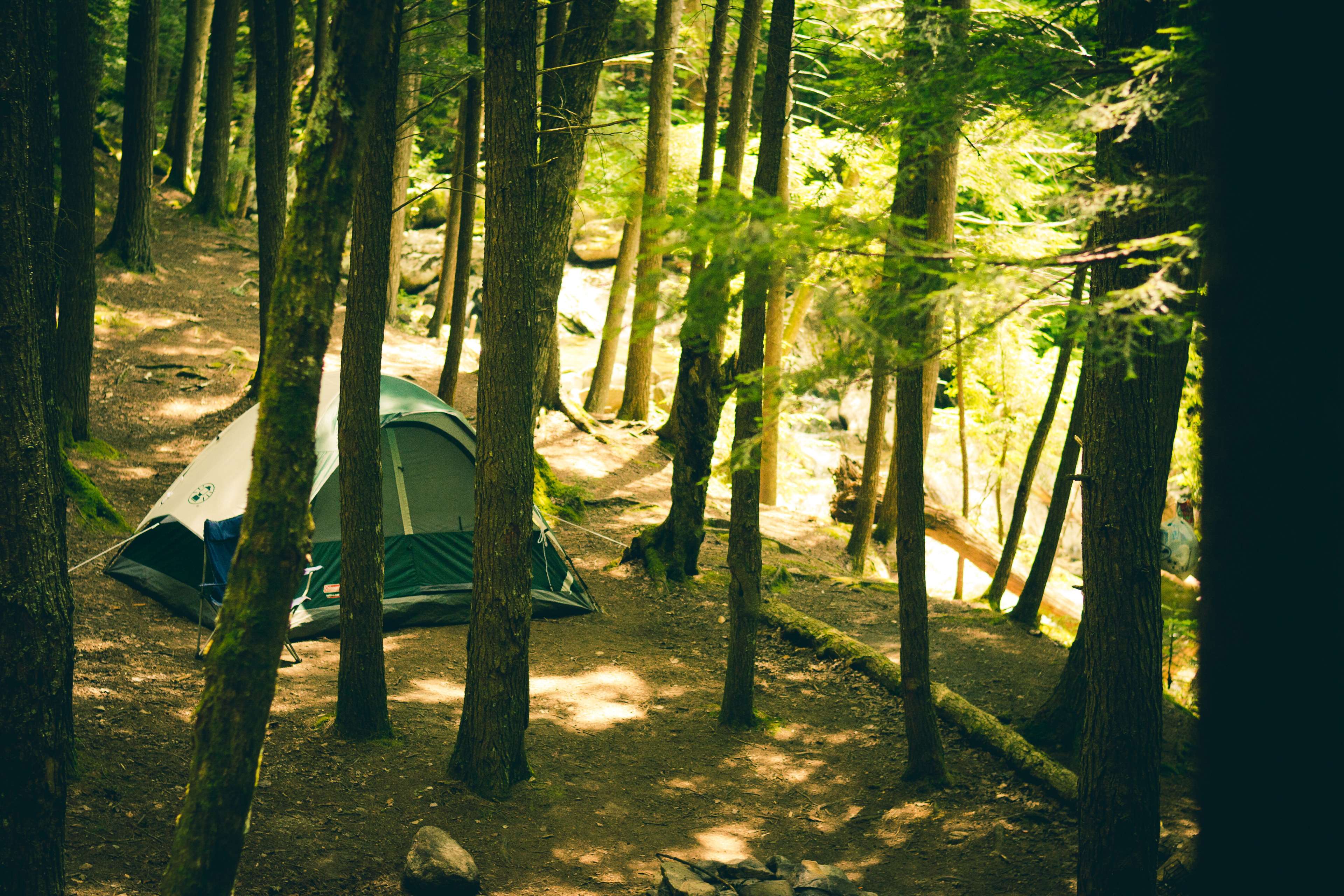 adventure, camping, forest, tent, trees 4k wallpaper