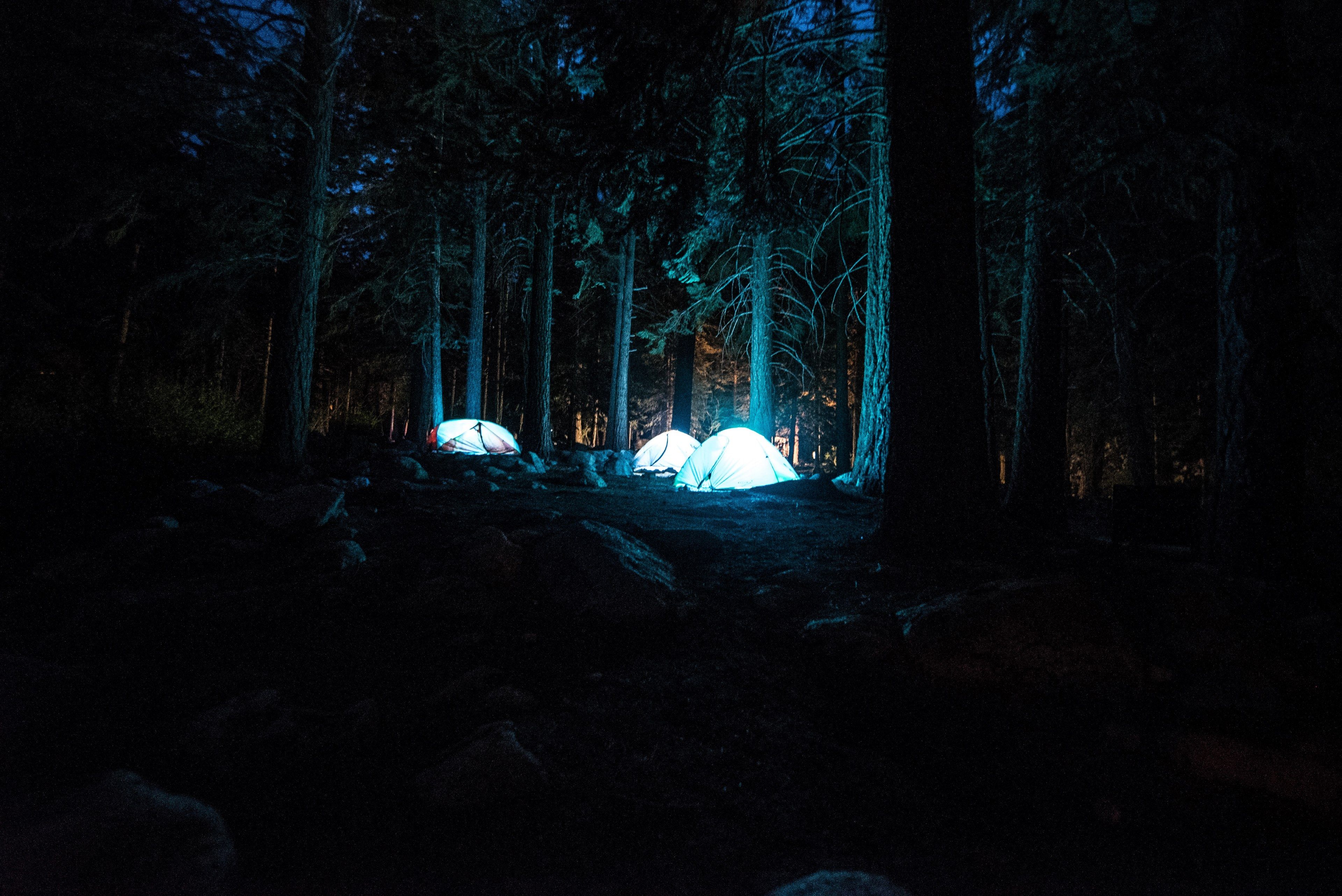 Wallpaper / camping tent night and forest HD 4k wallpaper