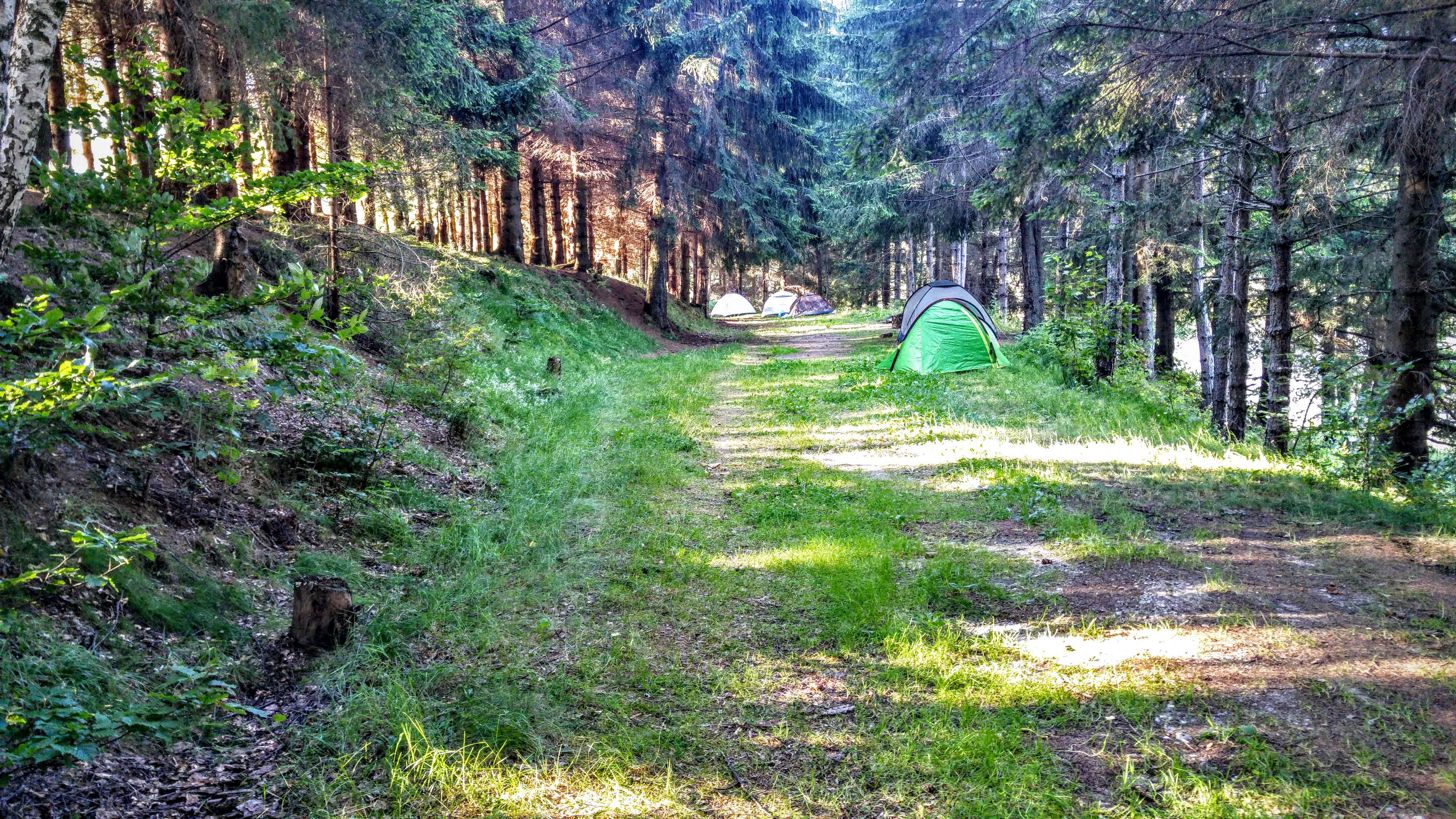 3840x2160 camping, forest 4k wallpaper JPG 1908 kB