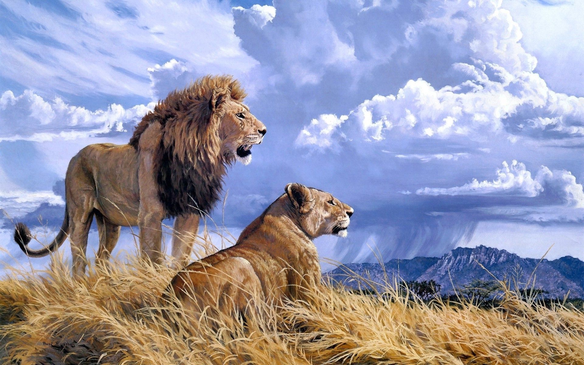 lion, Animals Wallpaper HD / Desktop and Mobile Background