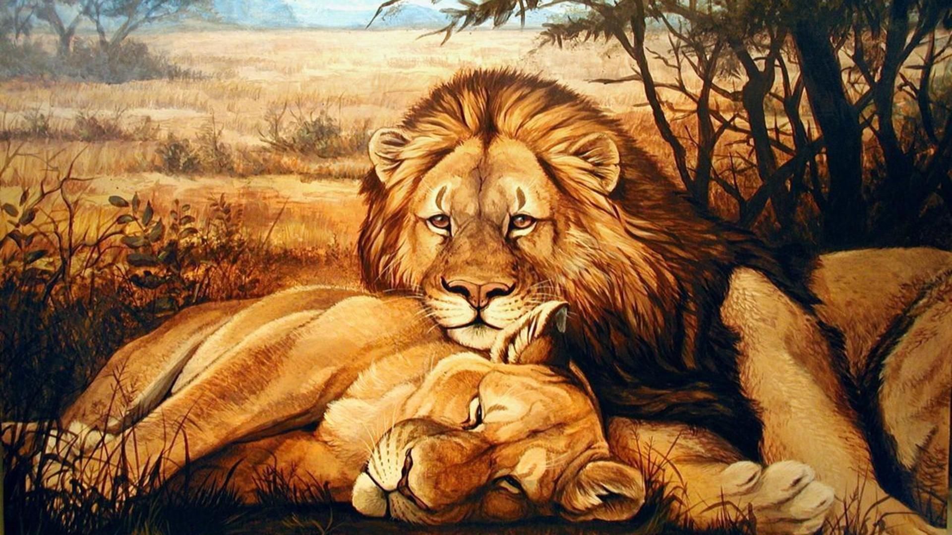 Lion Lioness Relaxing wallpaper free. Lukisan hewan, Hewan, Wallpaper hd
