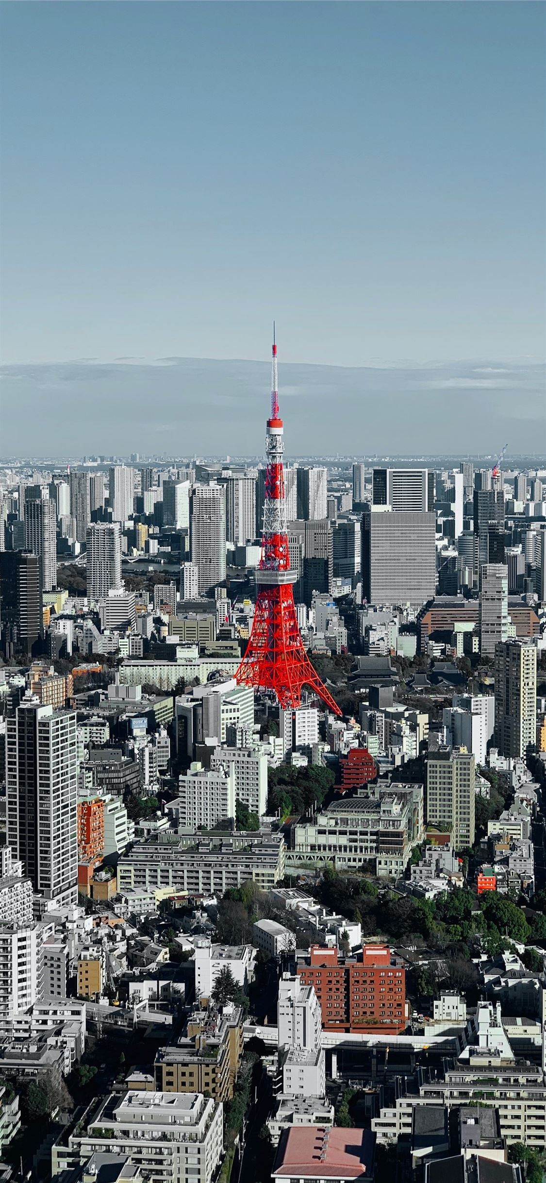 Best Tokyo iPhone X HD Wallpaper