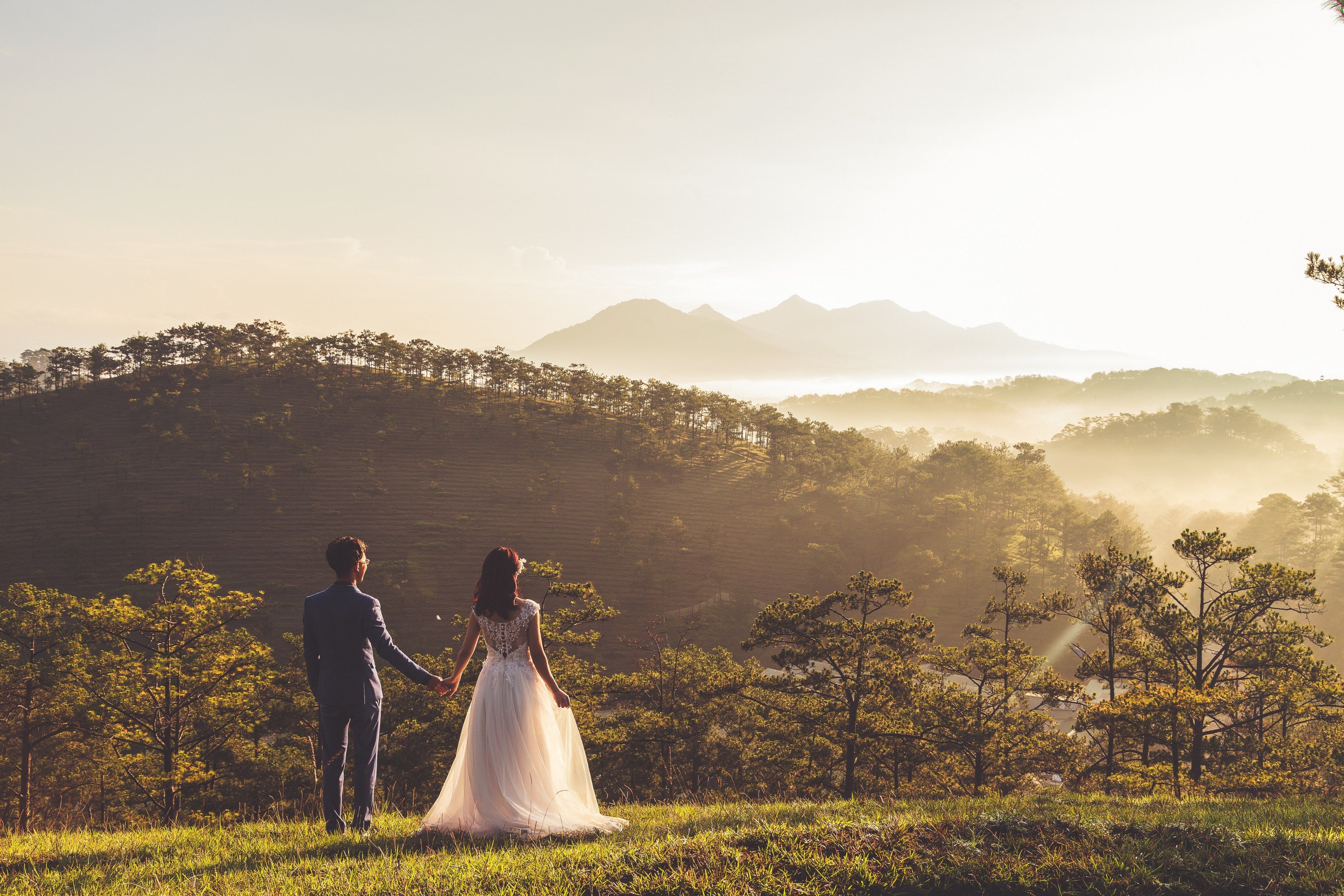 Wallpaper / a married couple holds hands looking into the distance in a grassy wooded area in the dalat hills, wedding couple dalat mountains 4k wallpaper