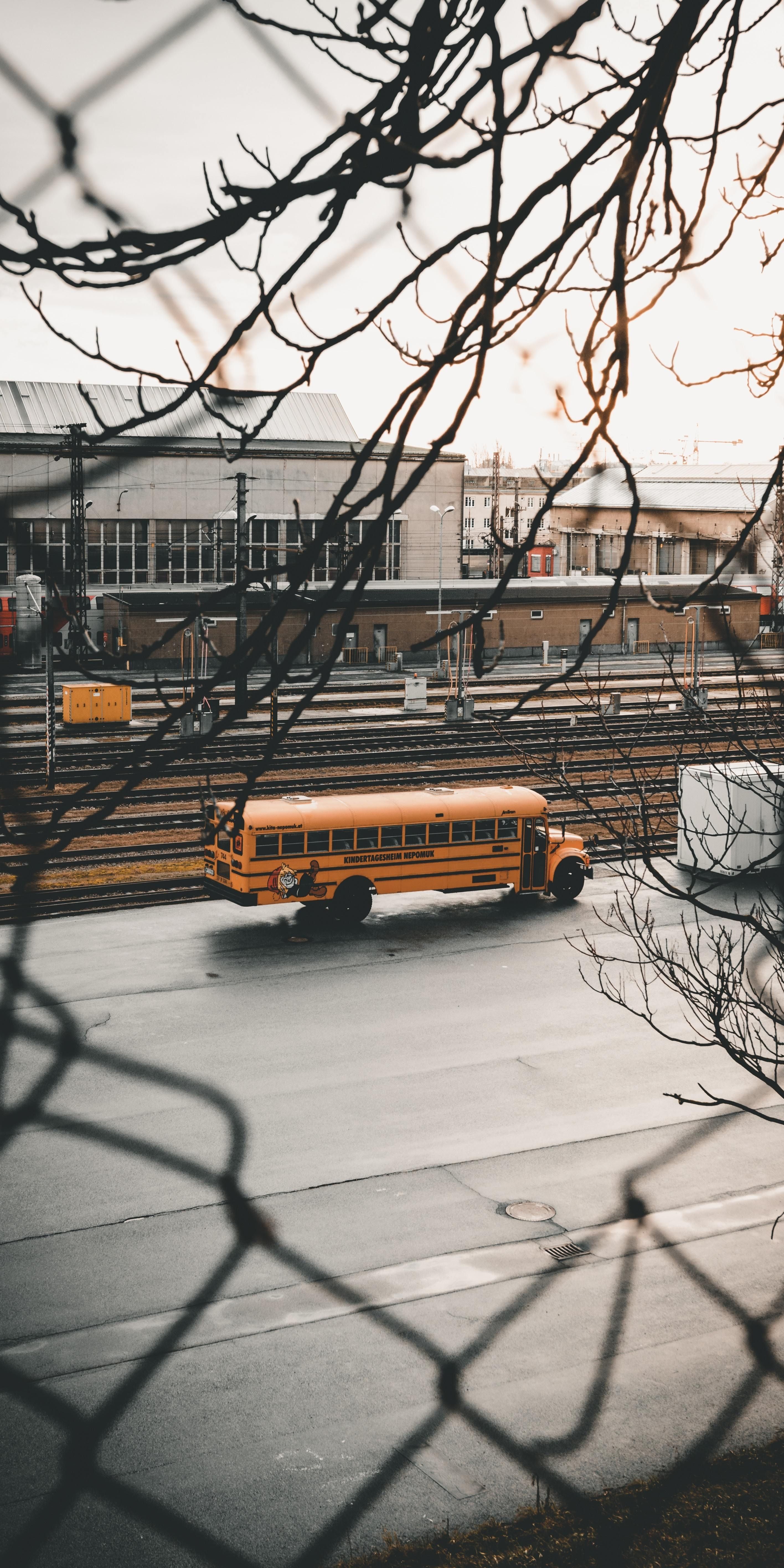 School bus. Bus city, School bus, Wallpaper