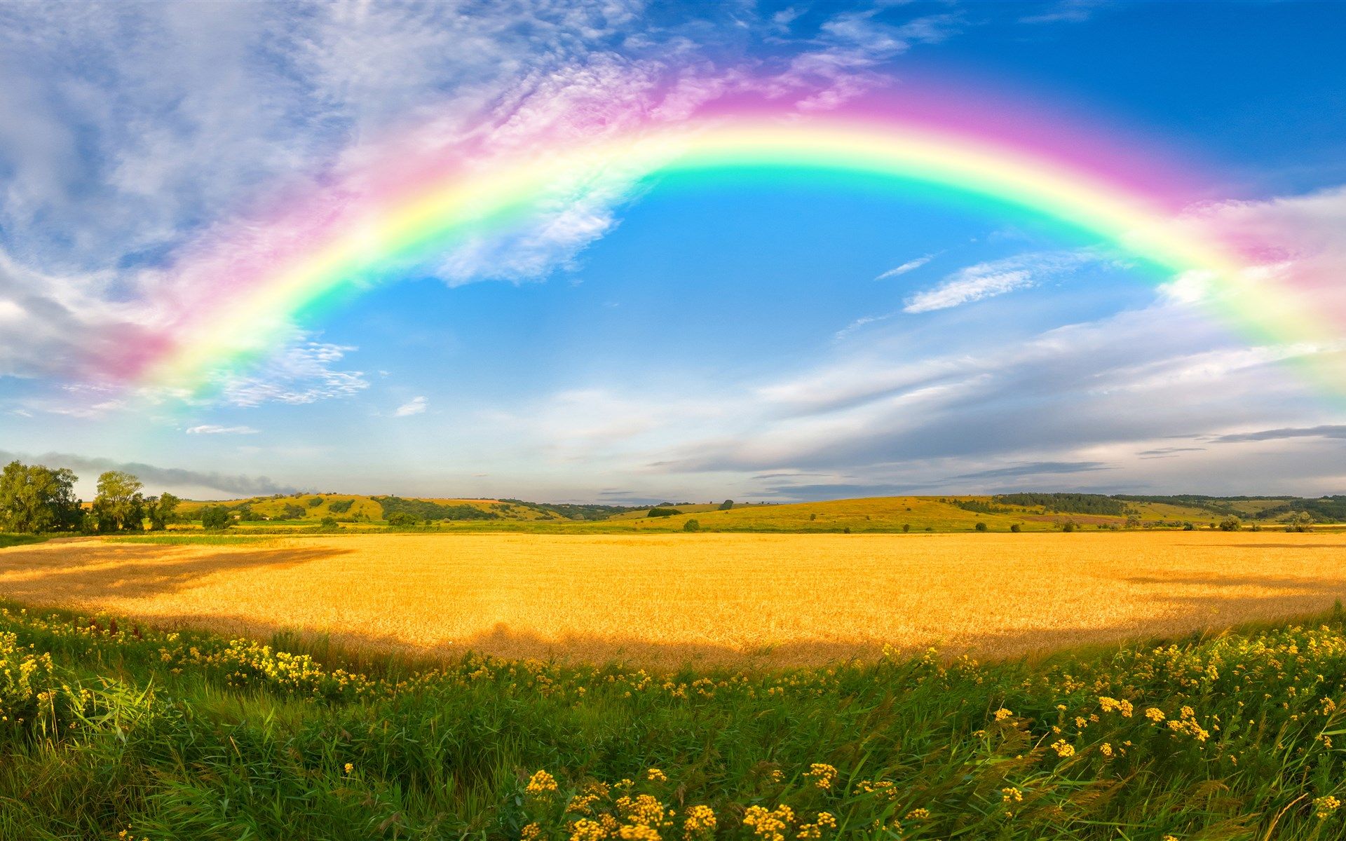 Rainbow, Sky, Field, Earth, Summer, Wheat wallpaper
