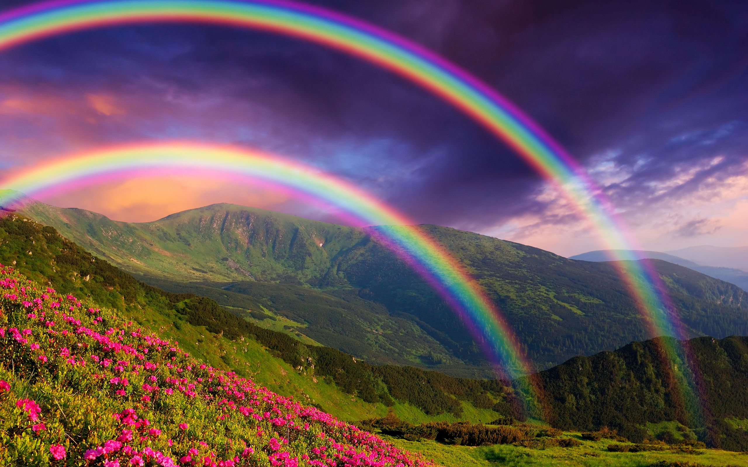 Download wallpaper rainbow, mountains, summer, beautiful landscapes for desktop with resolution 2560x1600. High Quality HD picture wallpaper
