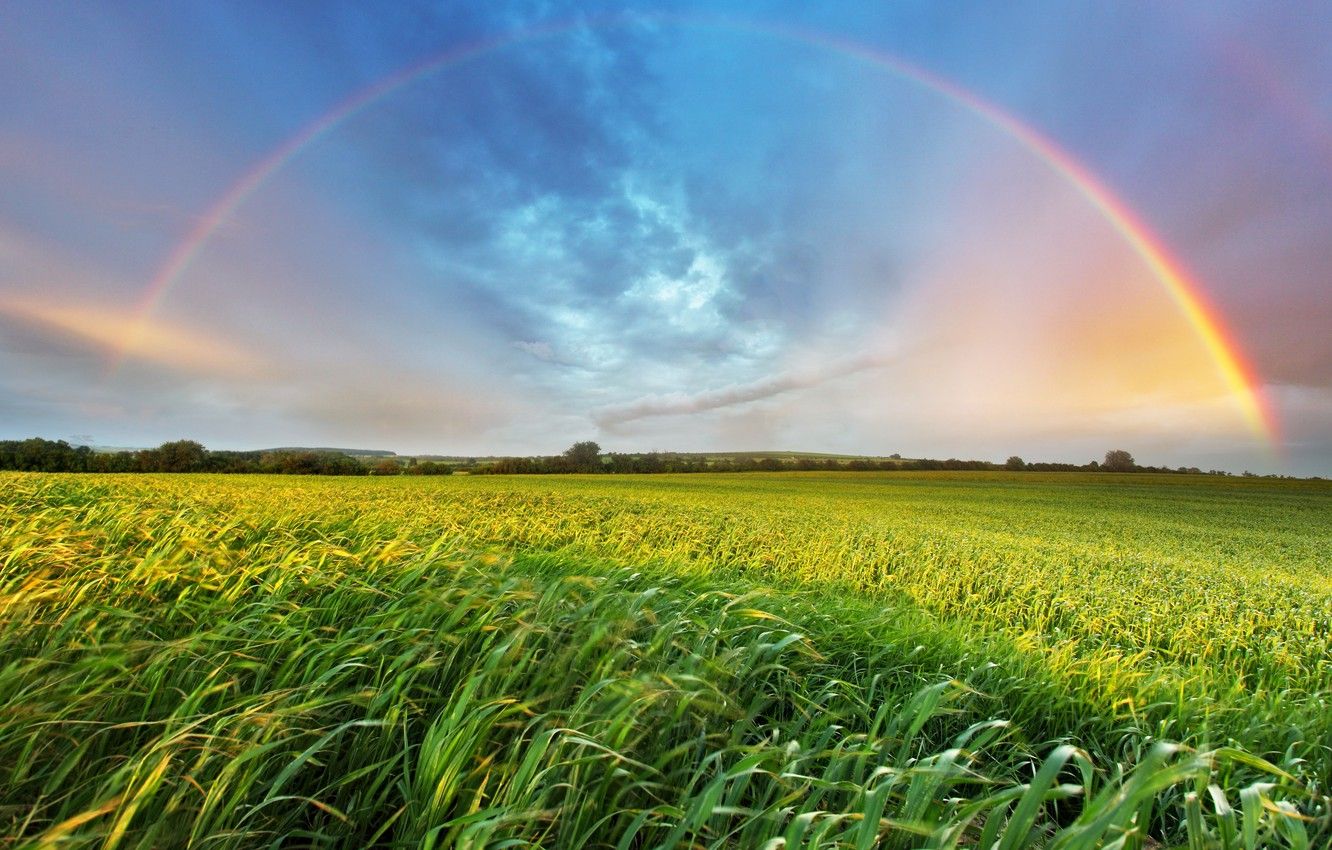 Wallpaper summer, grass, landscape, rainbow, space image for desktop, section пейзажи