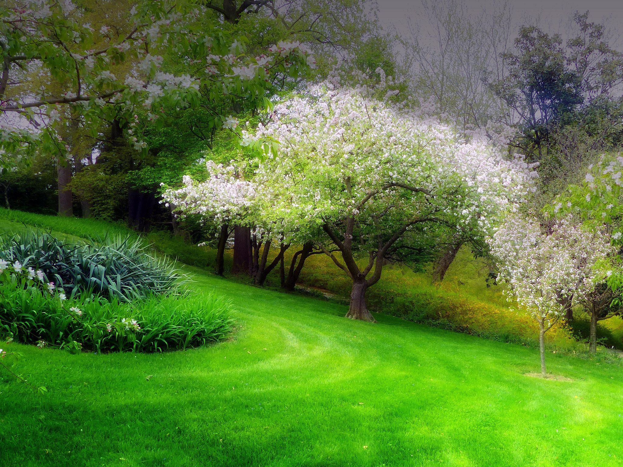 Earth Spring HD Wallpaper Background Image Cart. Spring wallpaper, Landscape wallpaper, Background image