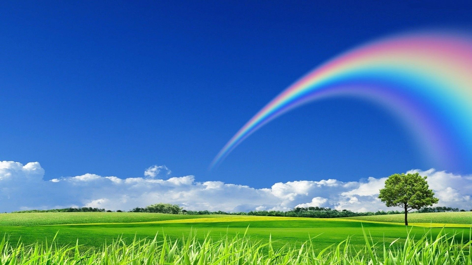Nature Rainbow Desktop Wallpaper