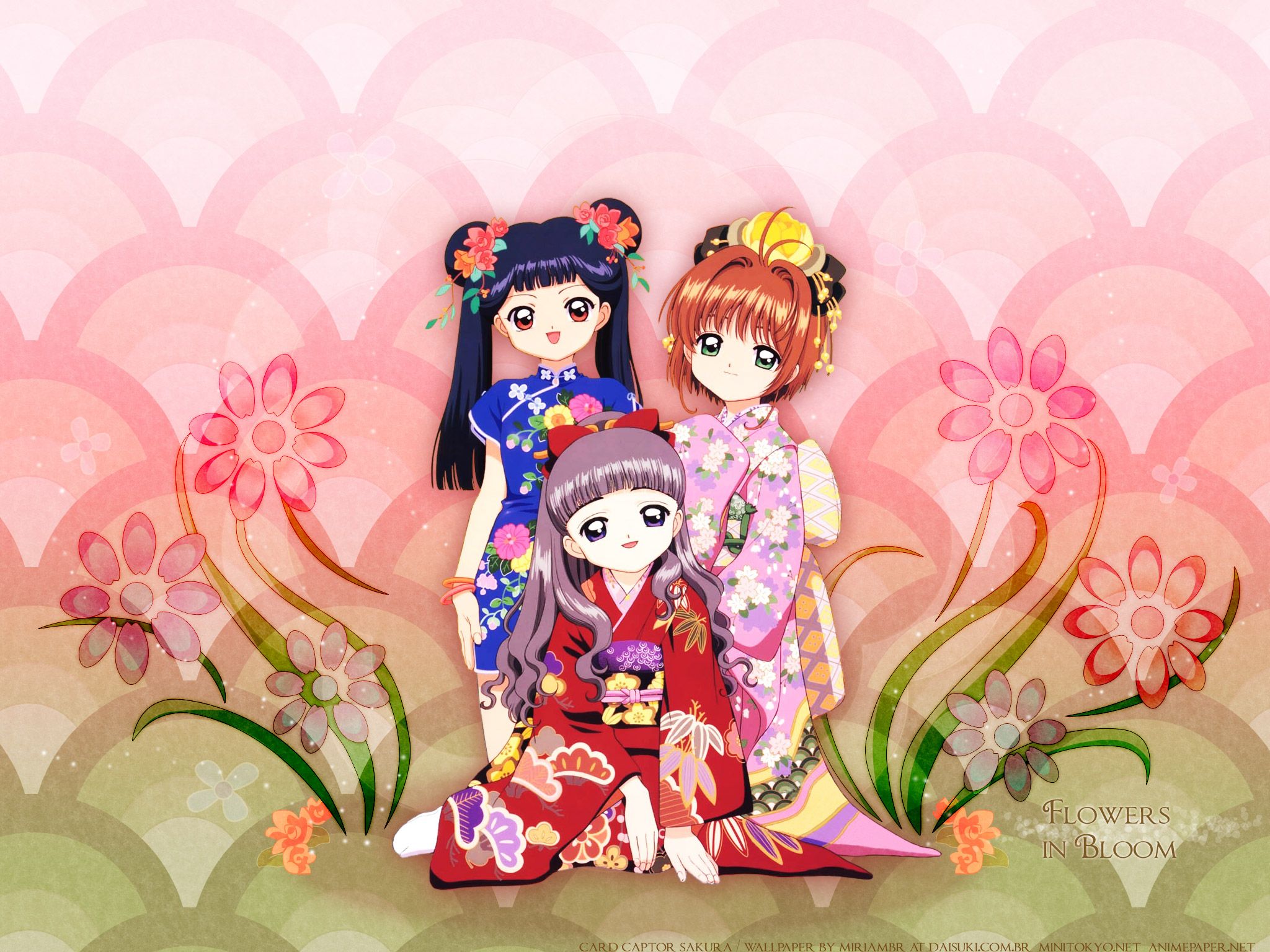 Tomoyo Daidouji and Scan Gallery