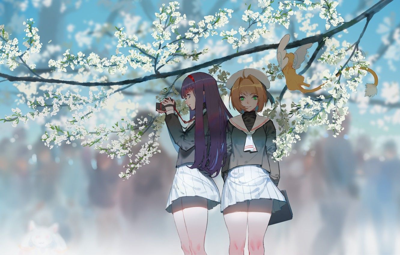 Wallpaper mahou shoujo madoka magica, kyuubee, kinomoto sakura, card captor sakura, daidouji tomoyo, kero, hoshimawa image for desktop, section сёнэн