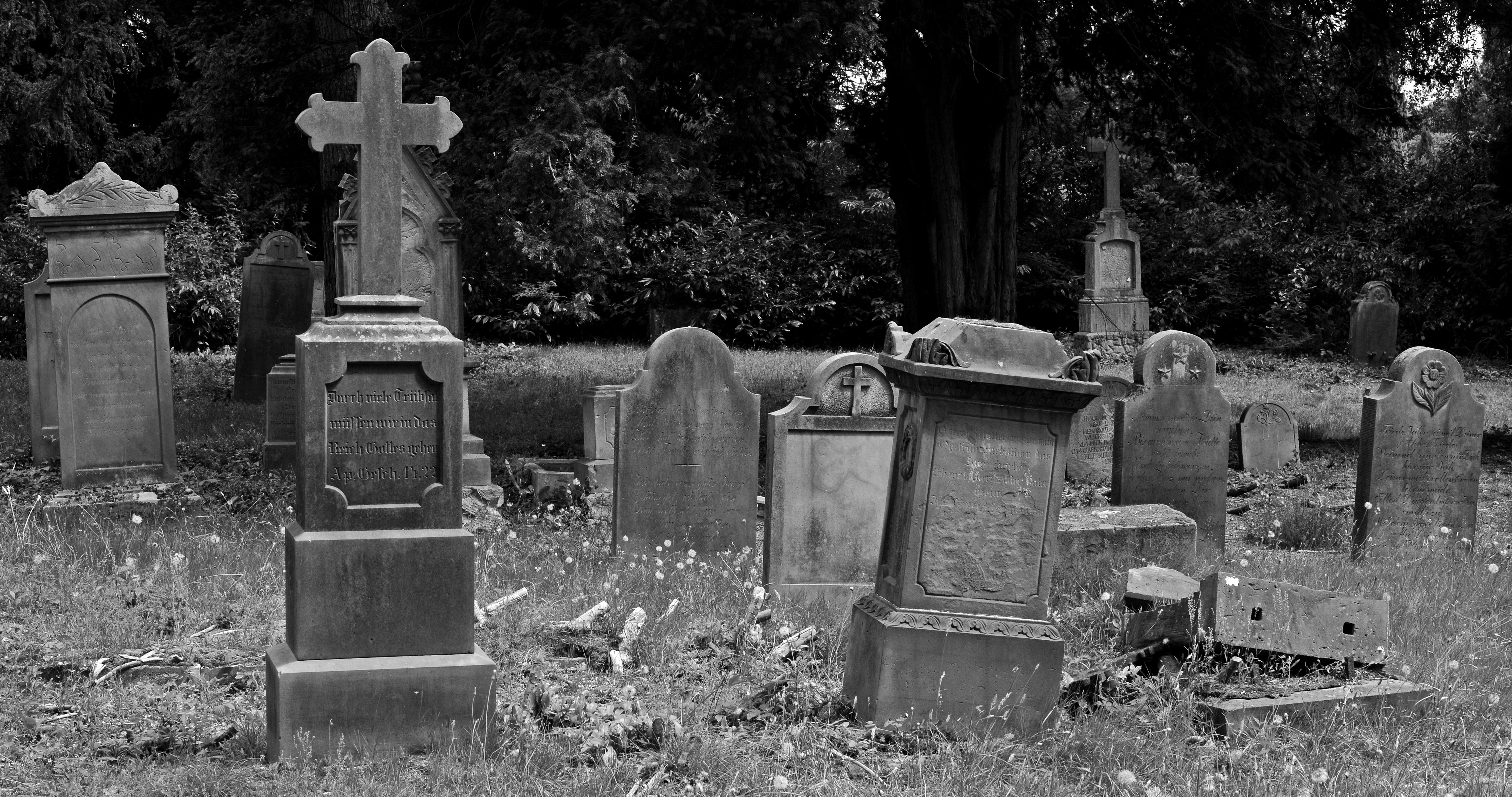 royalty free old grave stones image