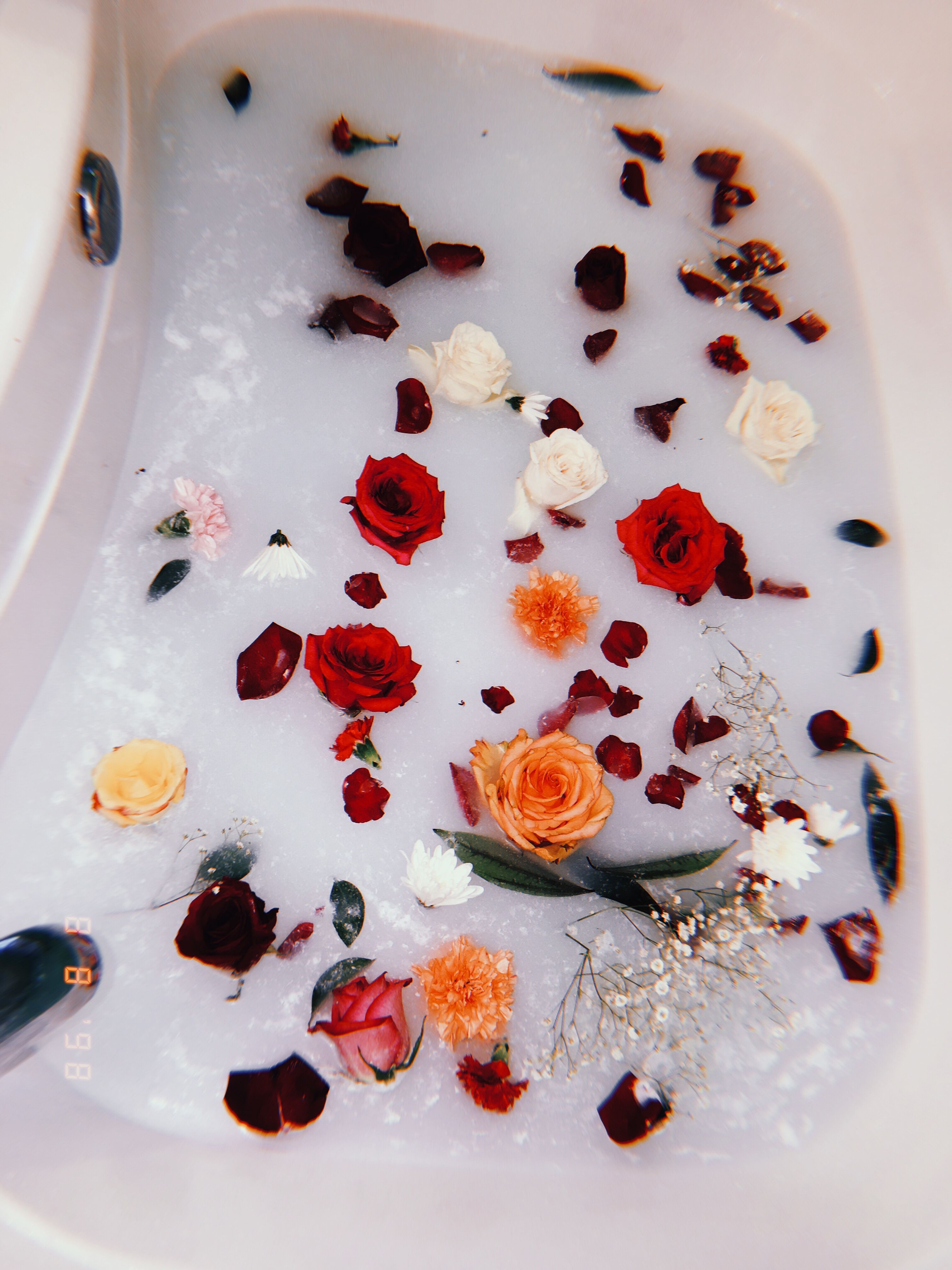 Flower milk bath. Milk bath, Milk bath photography, Flower bath