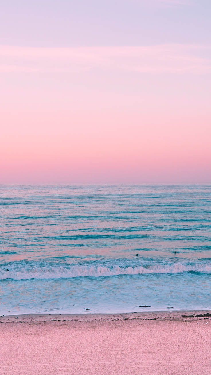 Summer Wallpaper iPhonexs