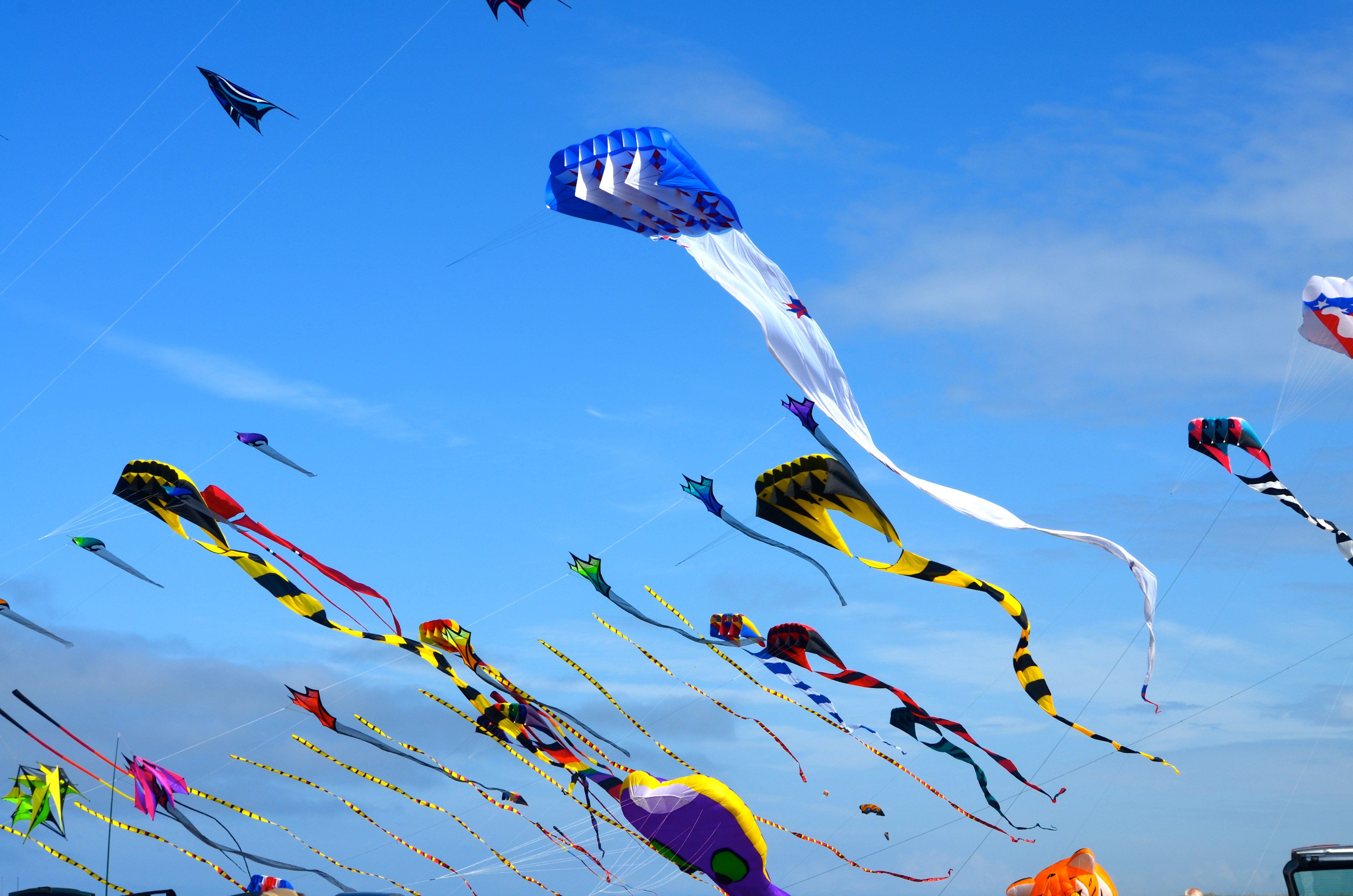 kite, Flying, Bokeh, Flight, Fly, Summer, Hobby, Sport, Sky, Toy, Fun Wallpaper HD / Desktop and Mobile Background