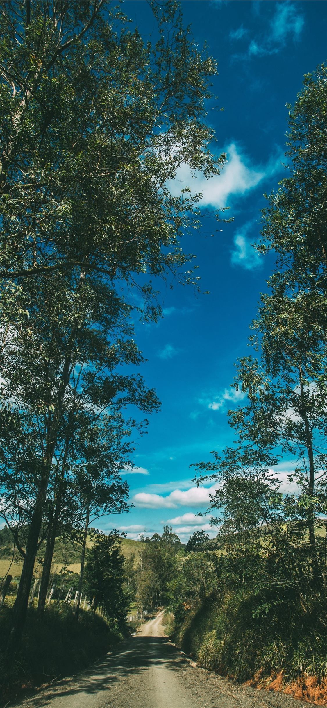 Summer Road Trees Sky Sunny Summer Vibes #TigerWoods #SportCelebrity #GolfCelebrity #UnitedStates. Landscape photography nature, Nature picture, Summer wallpaper