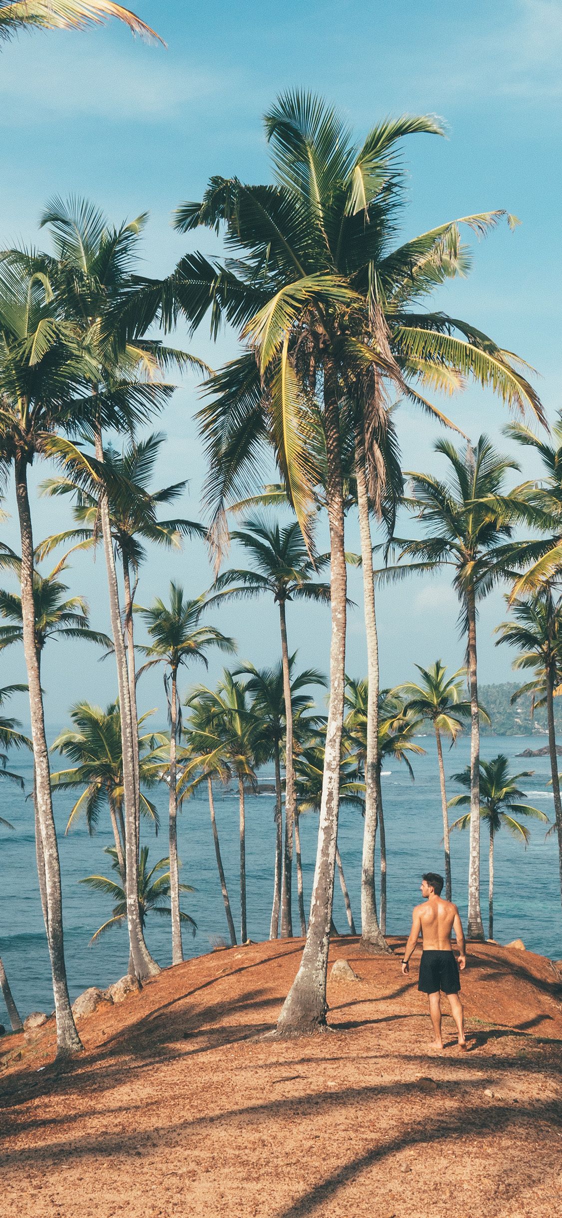 Summer Vacation Man Palm Tree Nature Wallpaper
