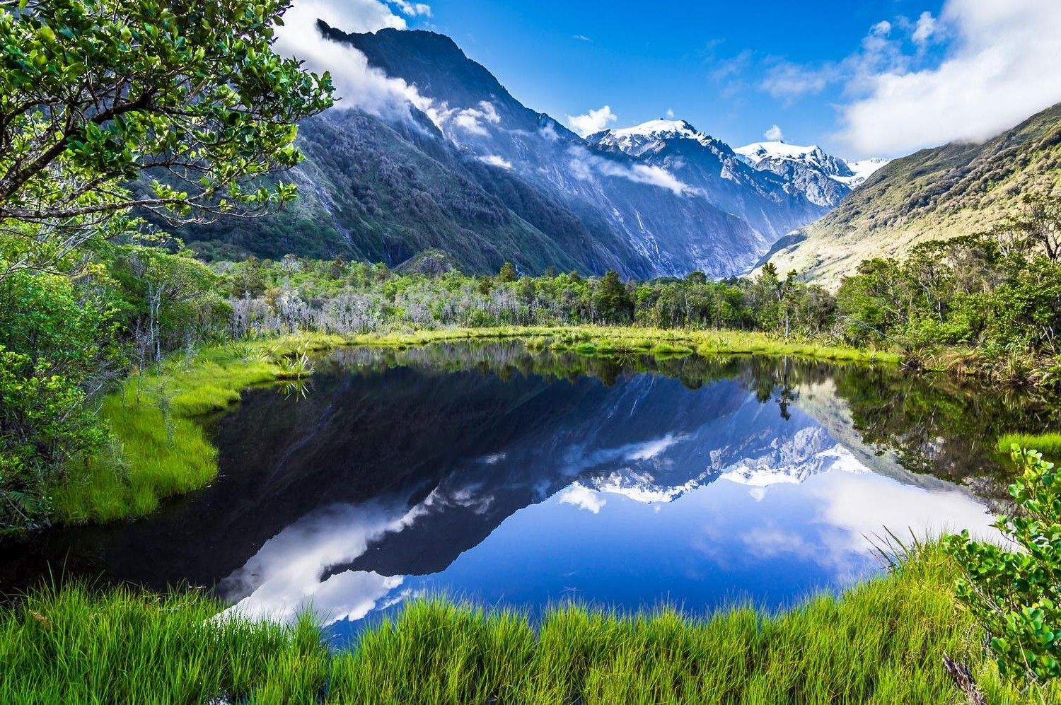 nature, Landscape, Summer, Lake, Reflection, Mountain, Grass, Forest, Snowy Peak, Clouds, New Zealand Wallpaper HD / Desktop and Mobile Background