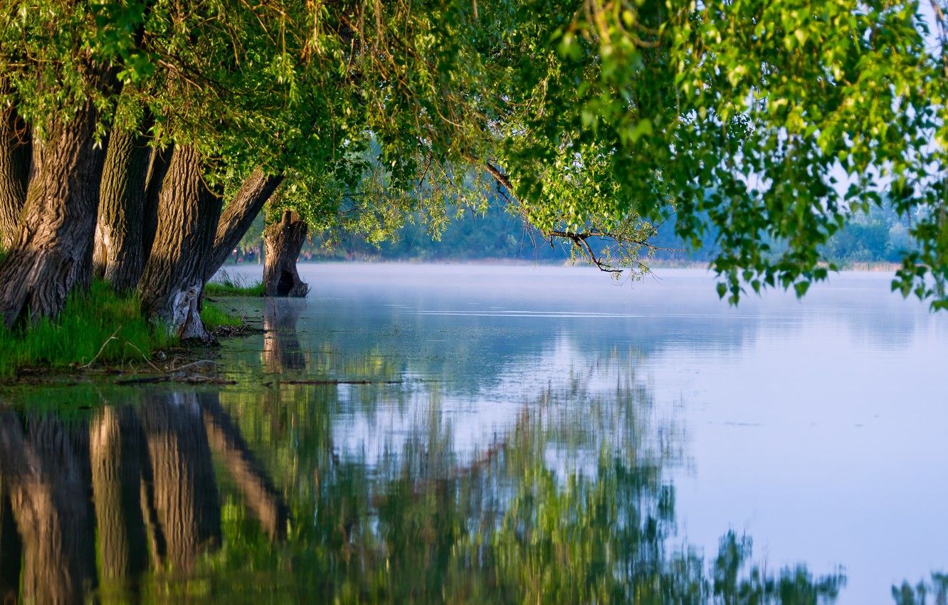 Wallpaper summer, trees, nature, lake, reflection image for desktop, section природа
