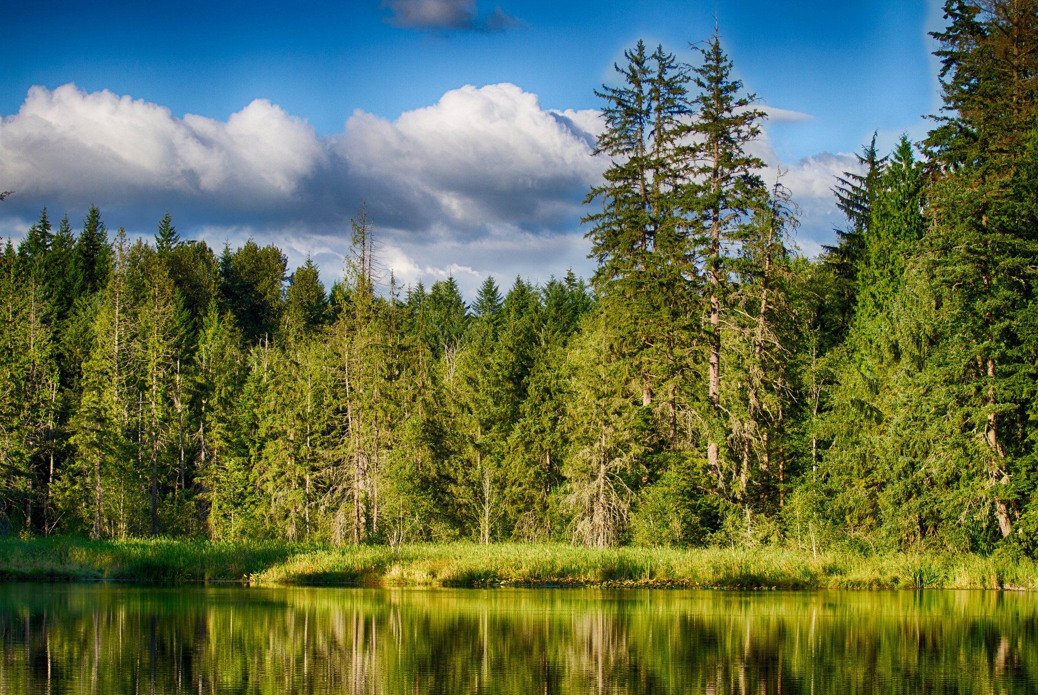 Free download Summer forest lake reflection wallpaper 2048x1370 309972 [2048x1370] for your Desktop, Mobile & Tablet. Explore Picture of Summer Lakes Wallpaper. Summer Country Scenes Wallpaper, Google Summer Wallpaper