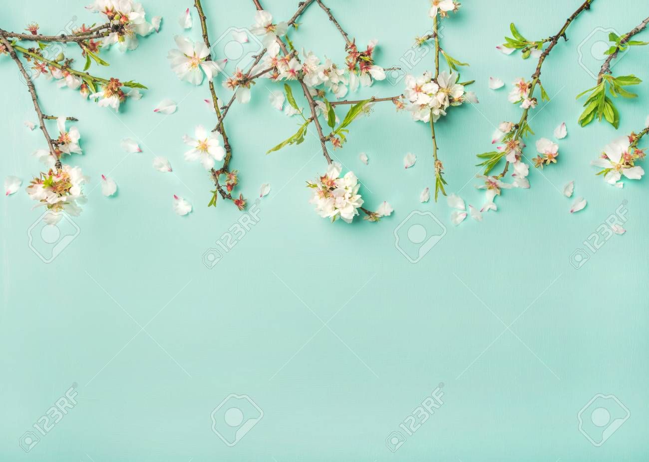 Spring Floral Background, Texture And Wallpaper Wallpaper Flower Background HD Wallpaper