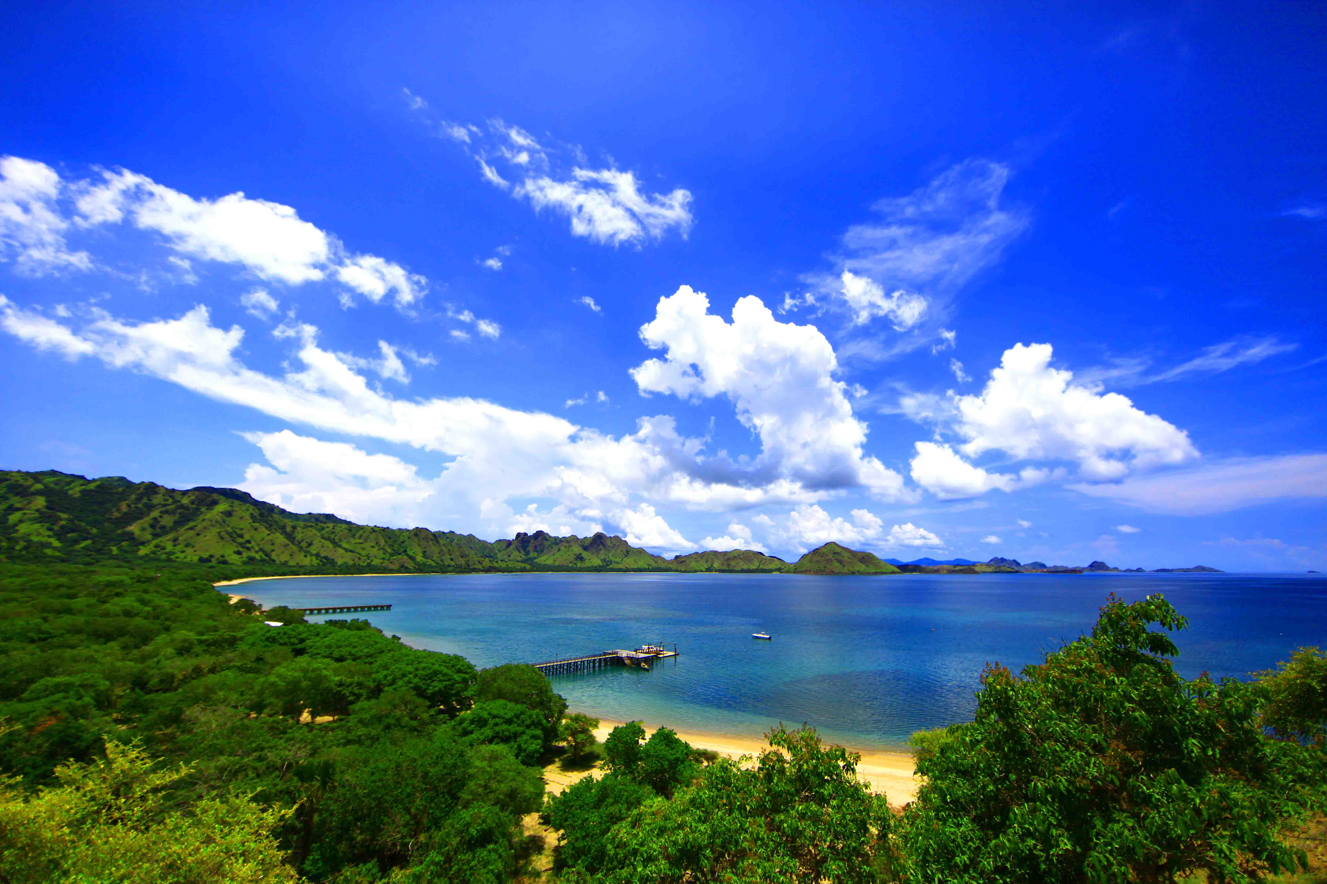 Habitat of Komodo Dragon: Facts about Komodo Island in Indonesia