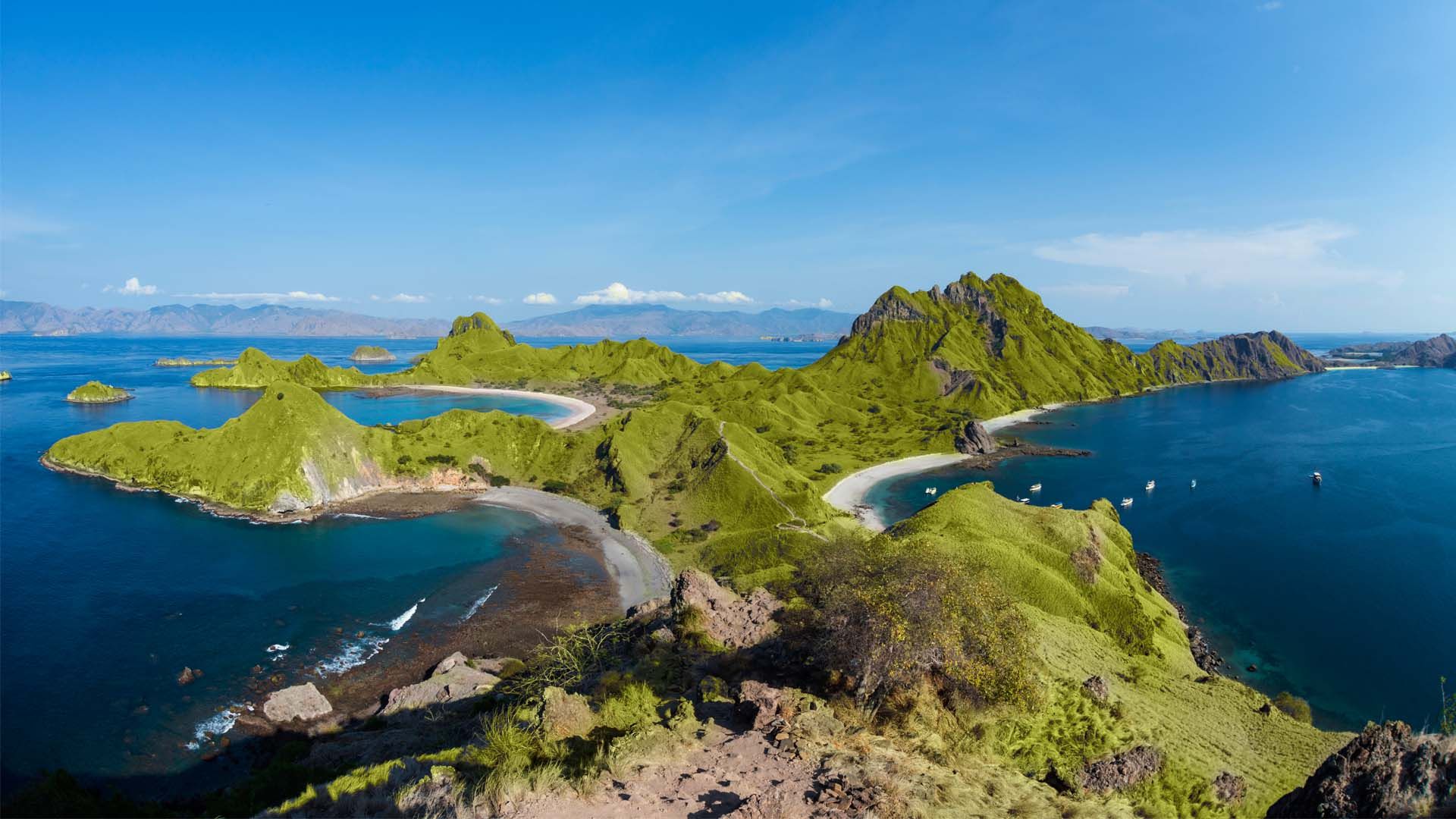 Enjoy Visit Komodo Island Island Tour From Bali