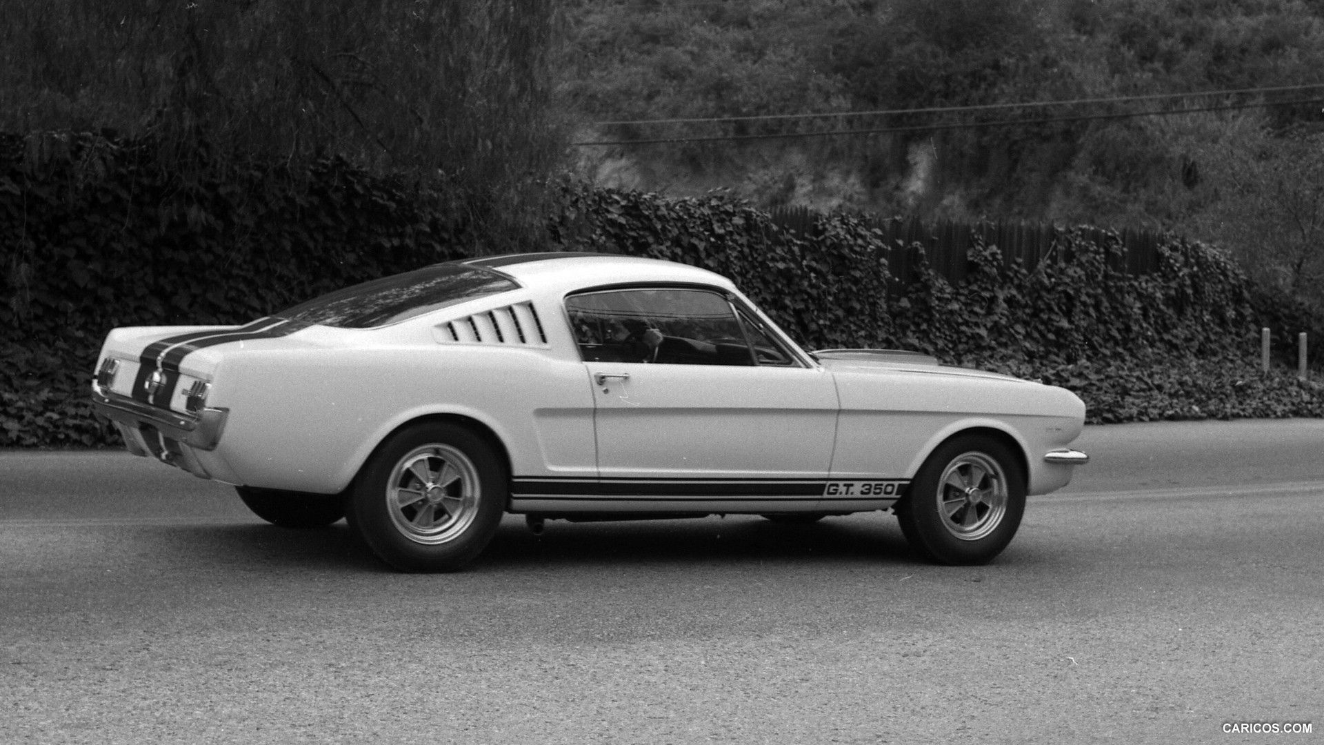 Get 1965 Ford Mustang Shelby Gt350 Wallpaper Gif