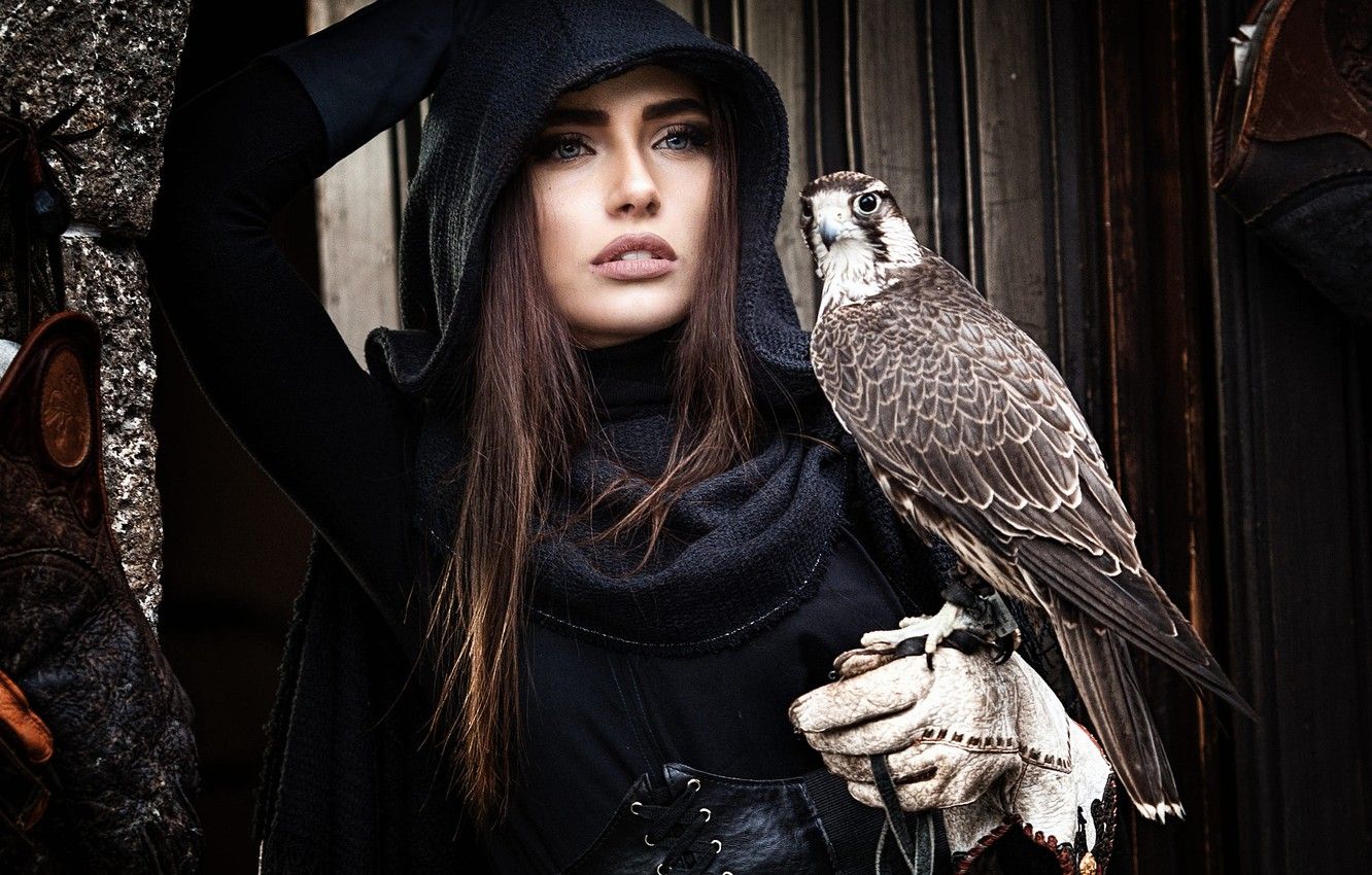 Wallpaper look, girl, face, pose, the dark background, each, bird, Board, hand, portrait, hood, brown hair, Falcon, glove, Cape, predatory image for desktop, section настроения