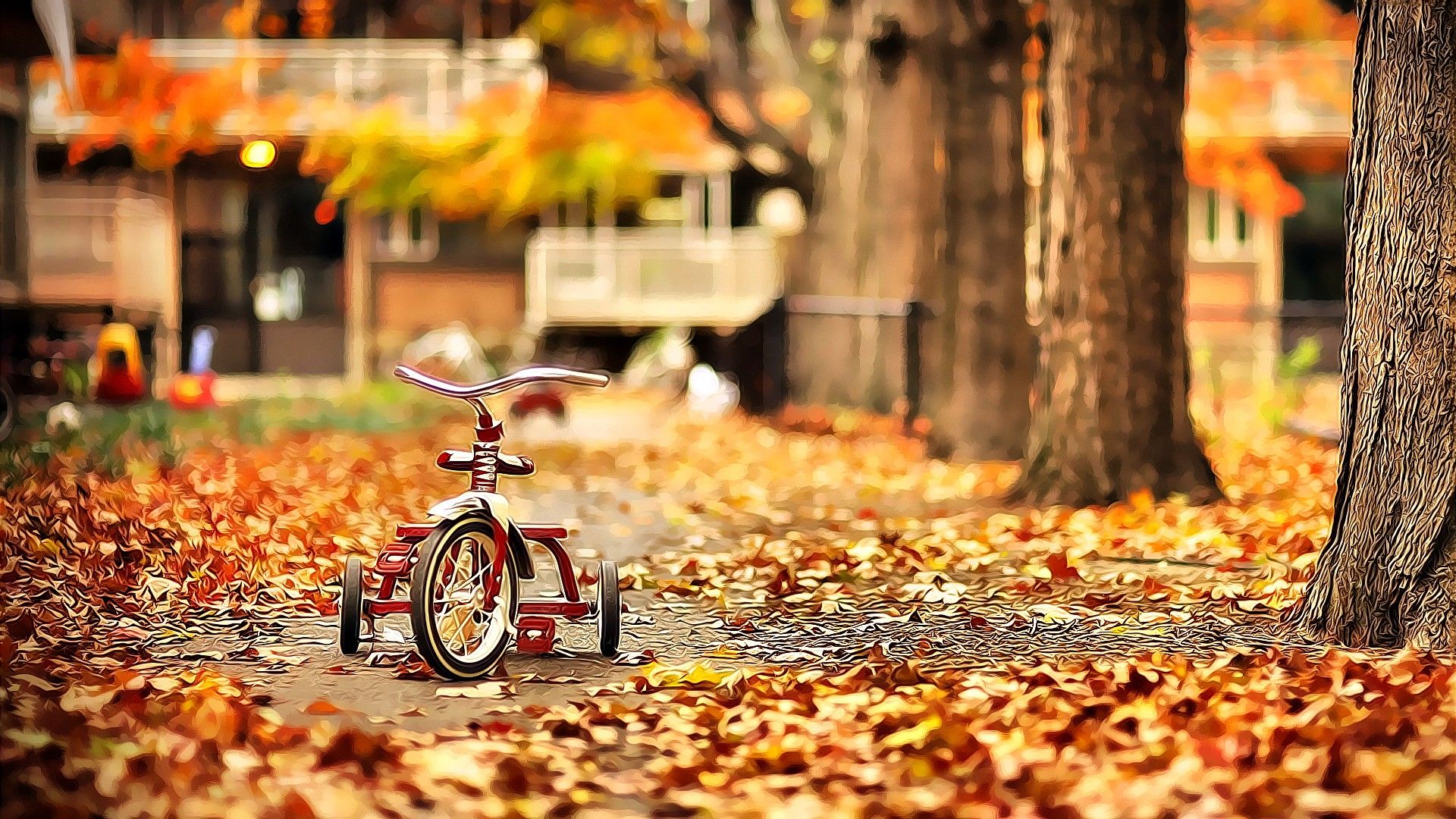 trees, bicycles, park, autumn wallpaper