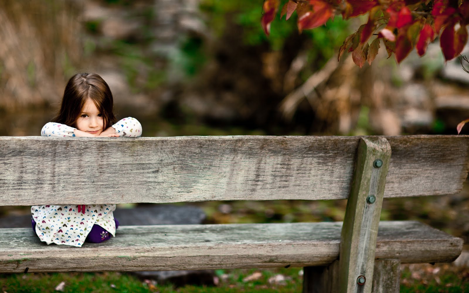 kids photo girl look park forest smile sitting bench HD love