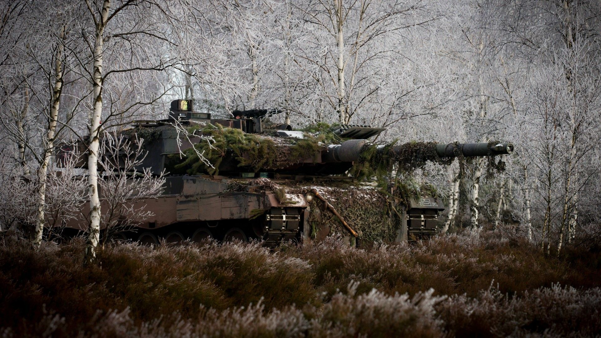 Wallpaper Leopard 2, 2a6m, Can, MBT, tank, German, forest, Bundeswehr, camo, winter, Military