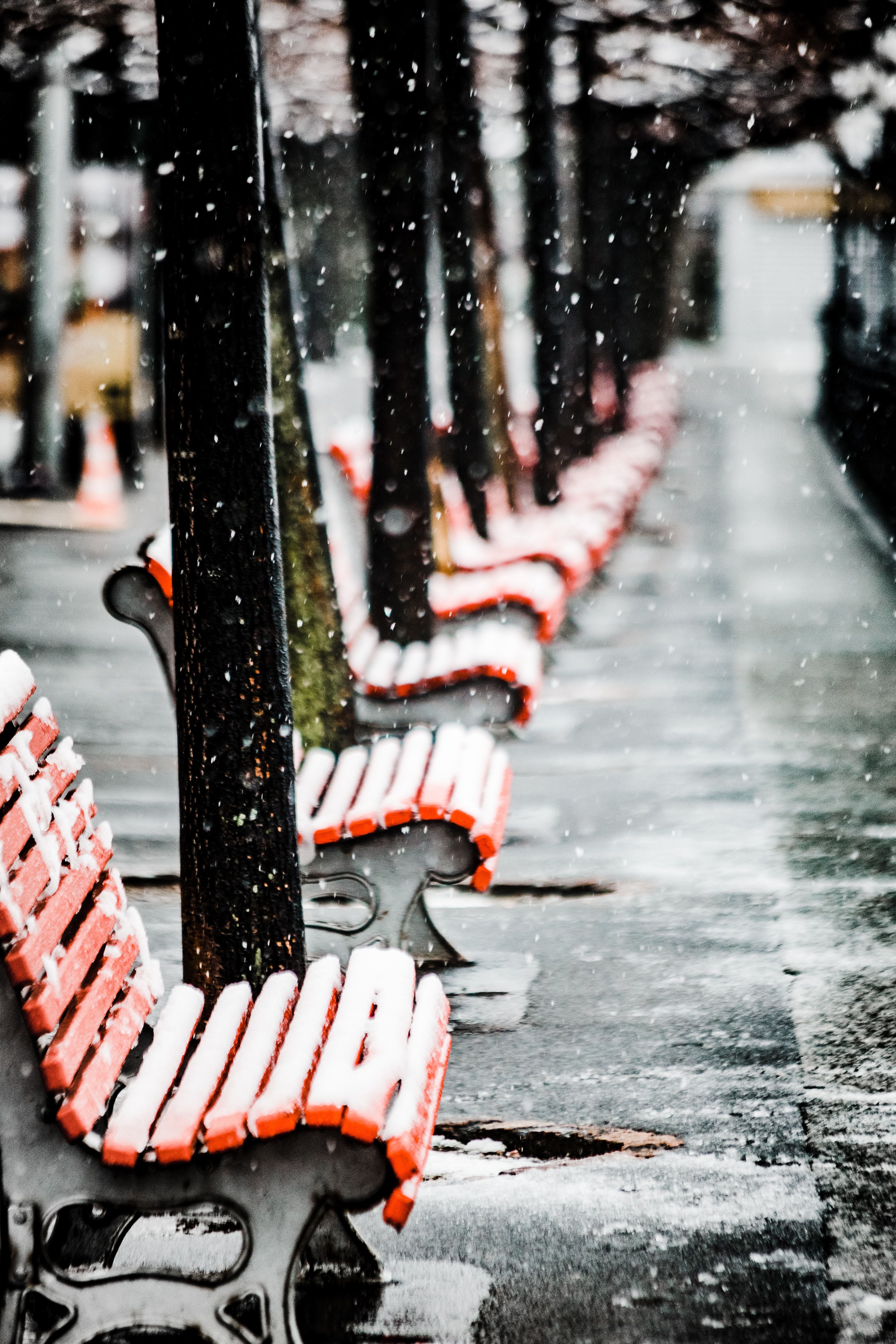 Chairs Covered in Snow · Free
