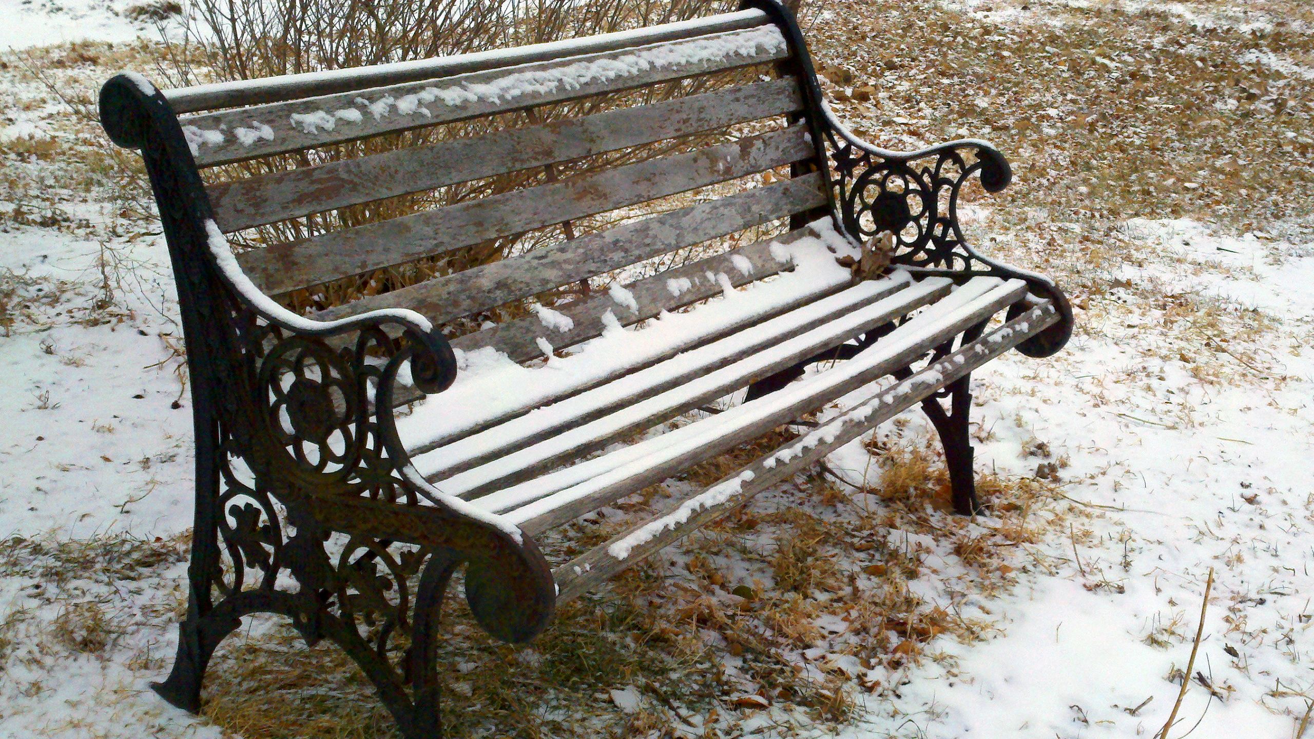Iron bench in the park's HD Wallpaper