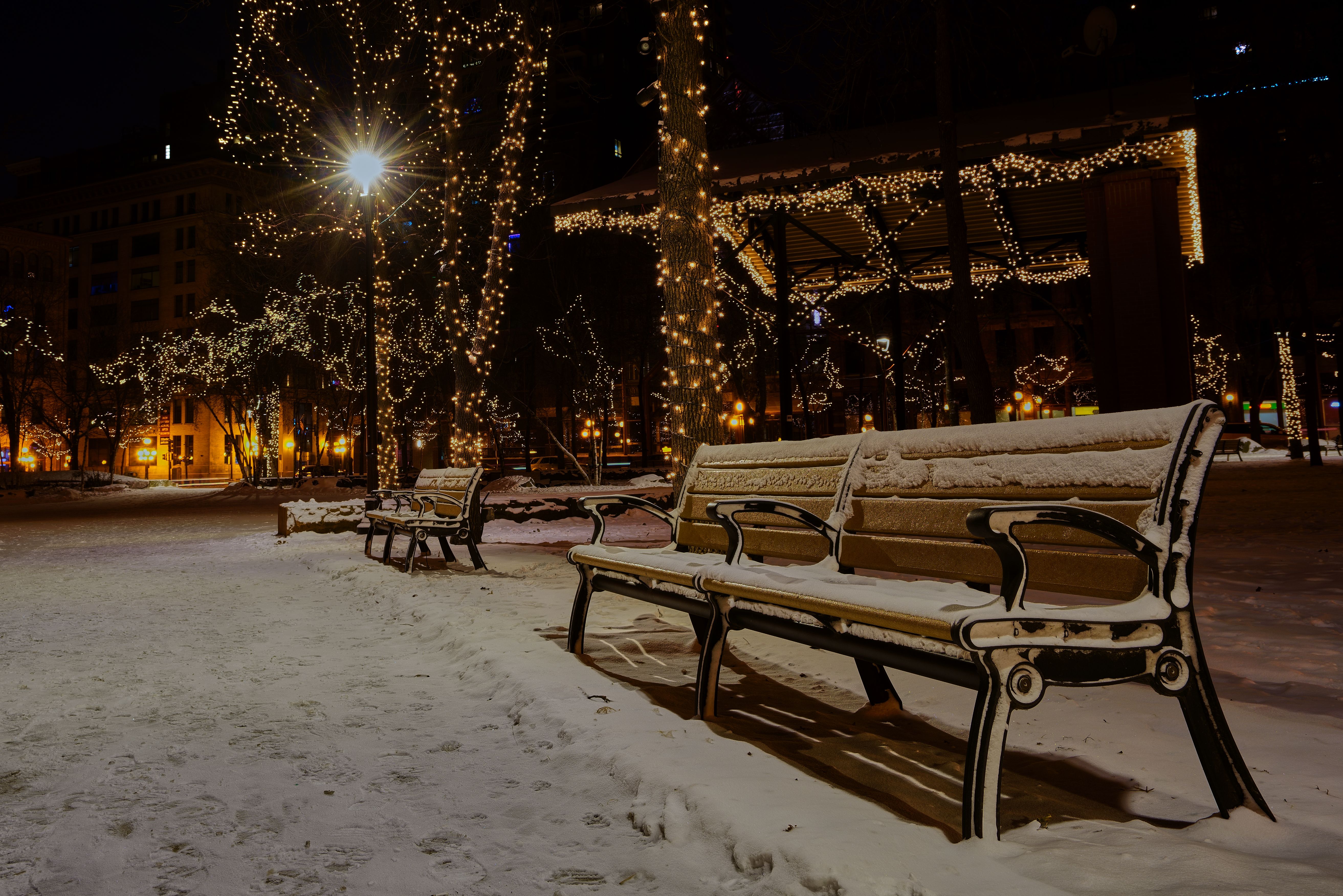 Photo of Snow Covered Benches in the Park · Free