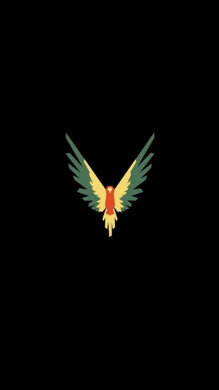 maverick by logan paul joggers