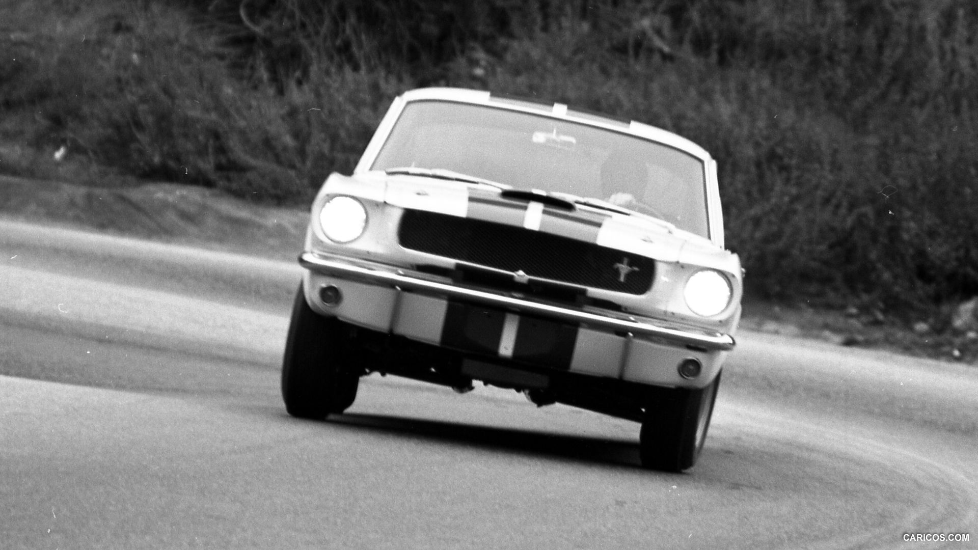 Ford Mustang Shelby GT350 Prototype. HD Wallpaper