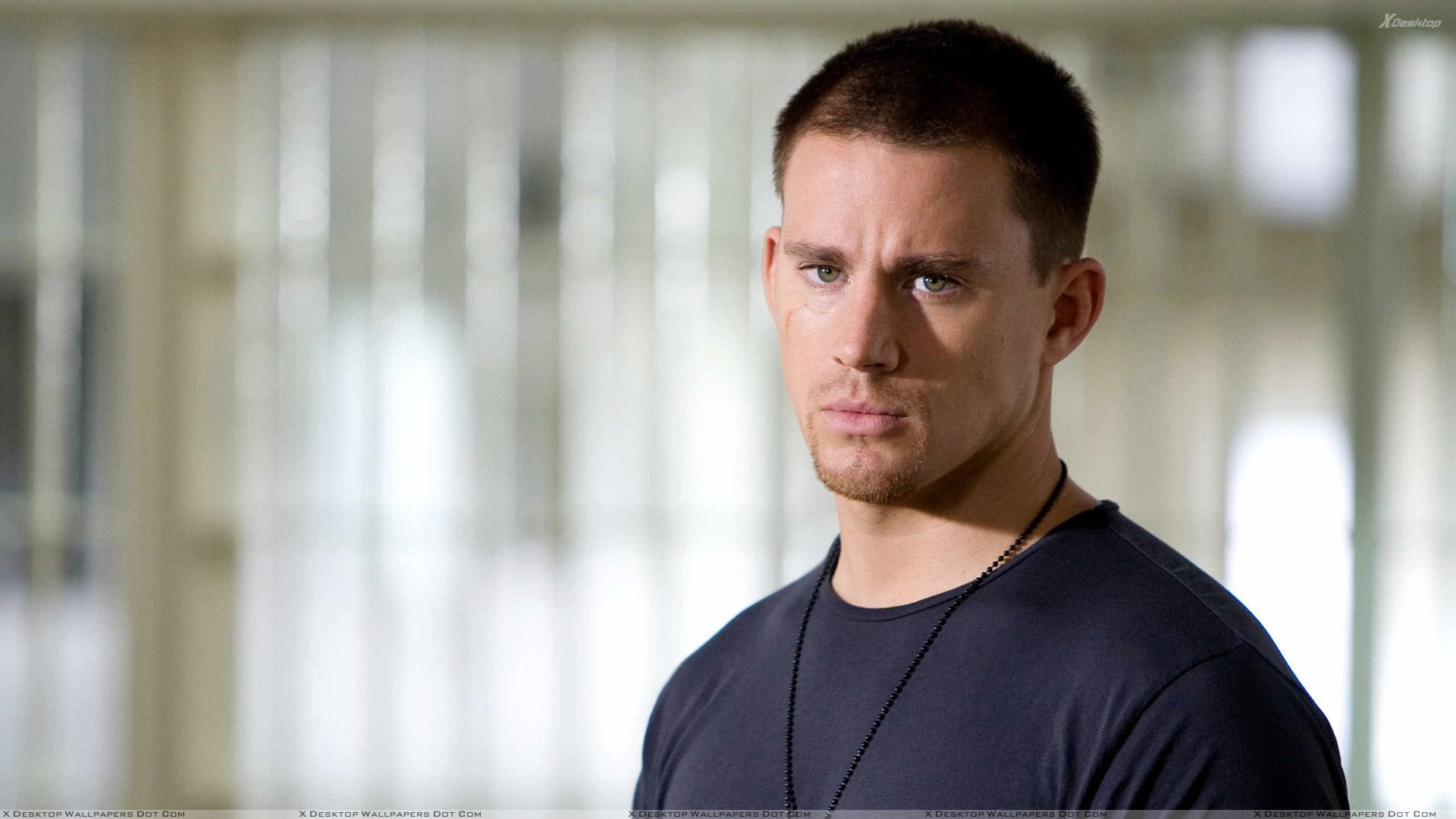 Channing Tatum In Blue T Shirt Looking At Camera Wallpaper