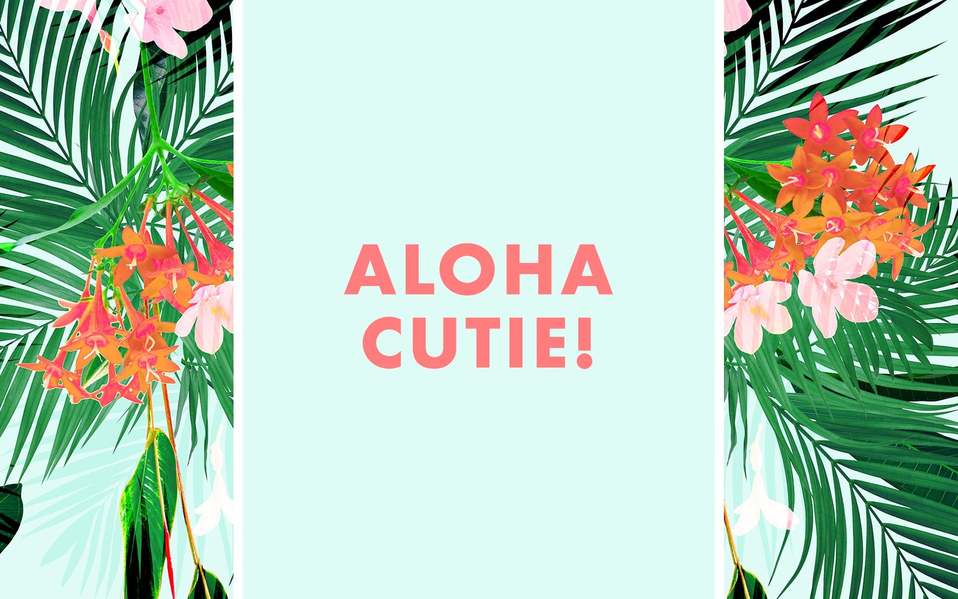 Aloha Wallpapers posted by Ryan Peltier.
