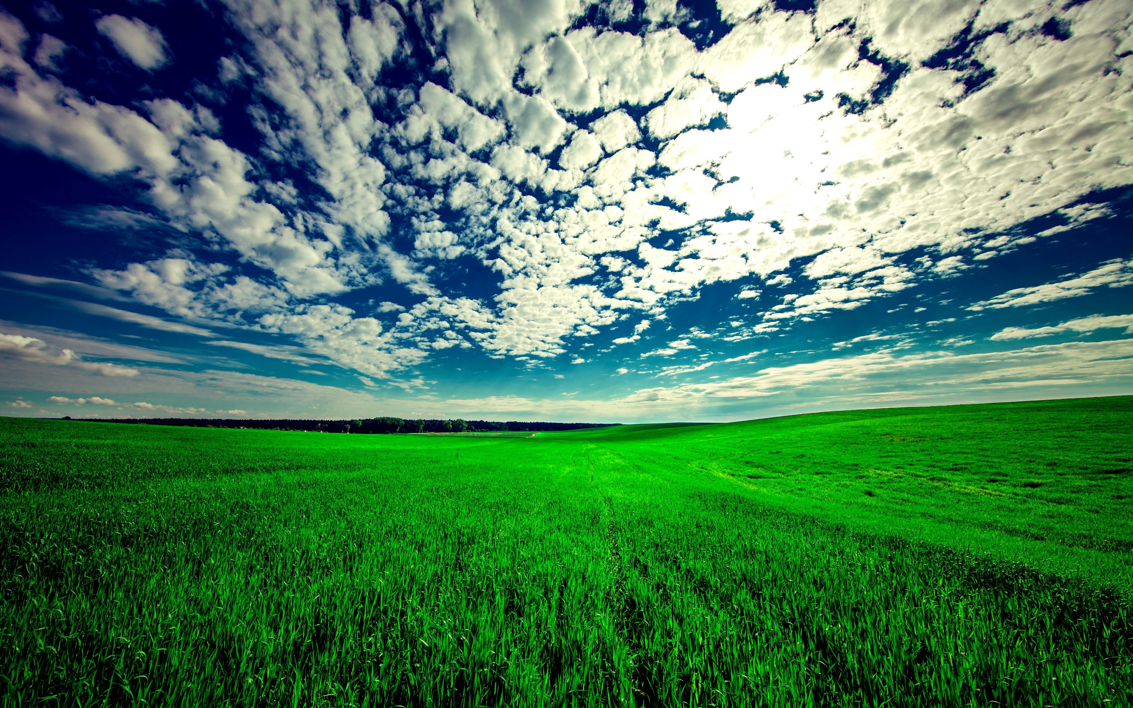 Wallpaper Field, Sky, Grass, Clouds, Green, Summer Field Background 4k