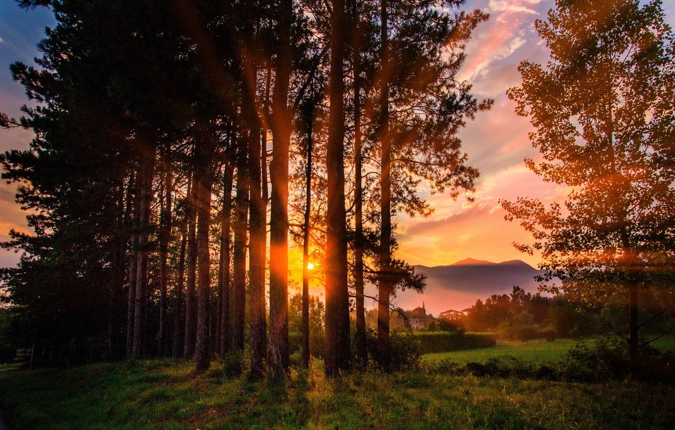 Wallpaper Sunset, Nature, Trees, Summer, Nature, Sunset, Summer, Village, Trees image for desktop, section пейзажи