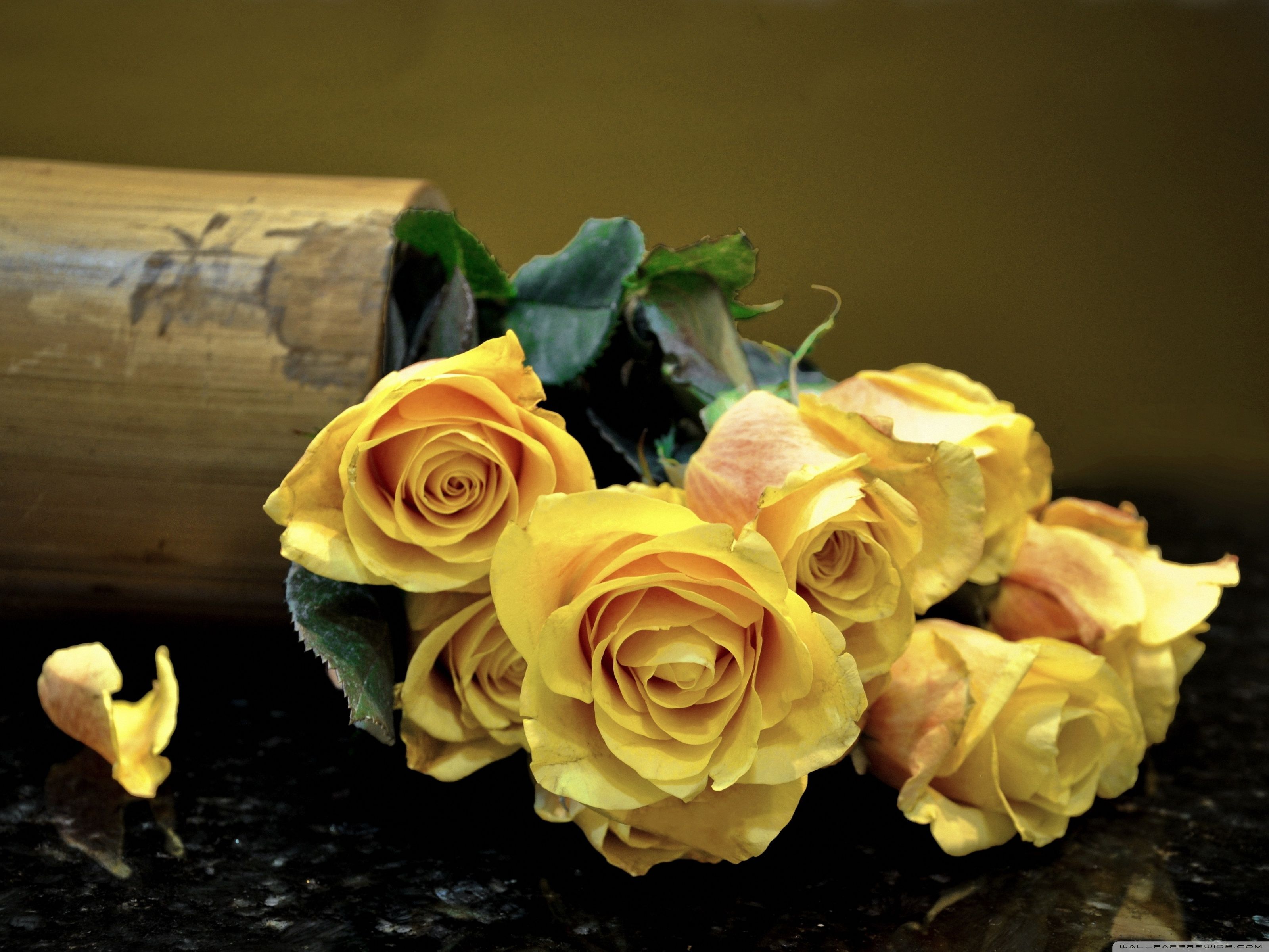 yellow roses wallpaper desktop background