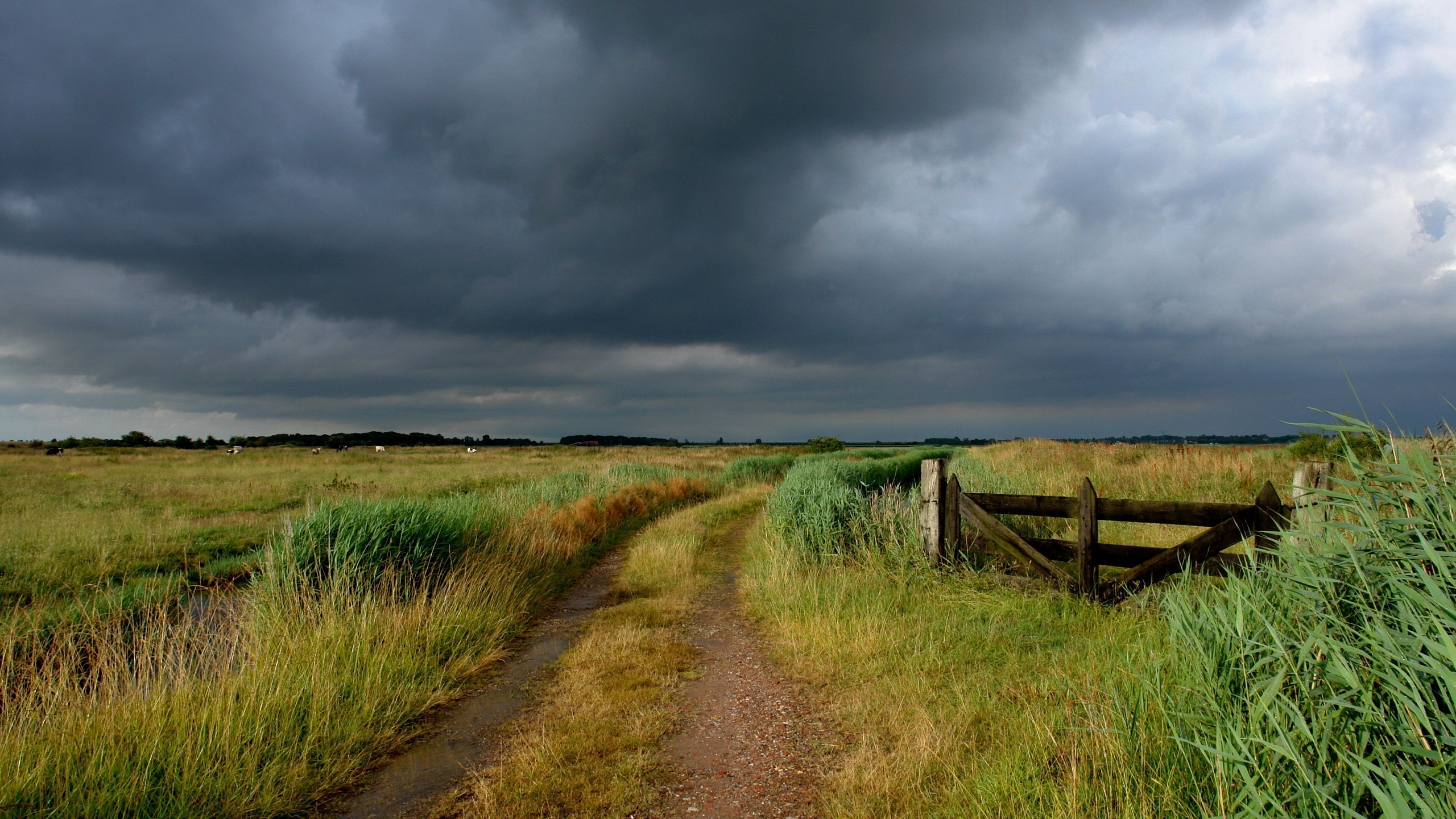 Wallpaper road, field, country, gate, pasture, cloudy, clouds, sky, gloomy. Road, Sky, Background