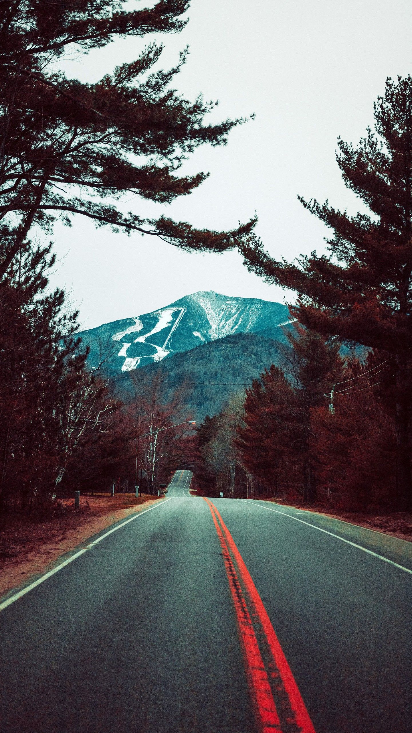 Autumn Road 4K Wallpaper